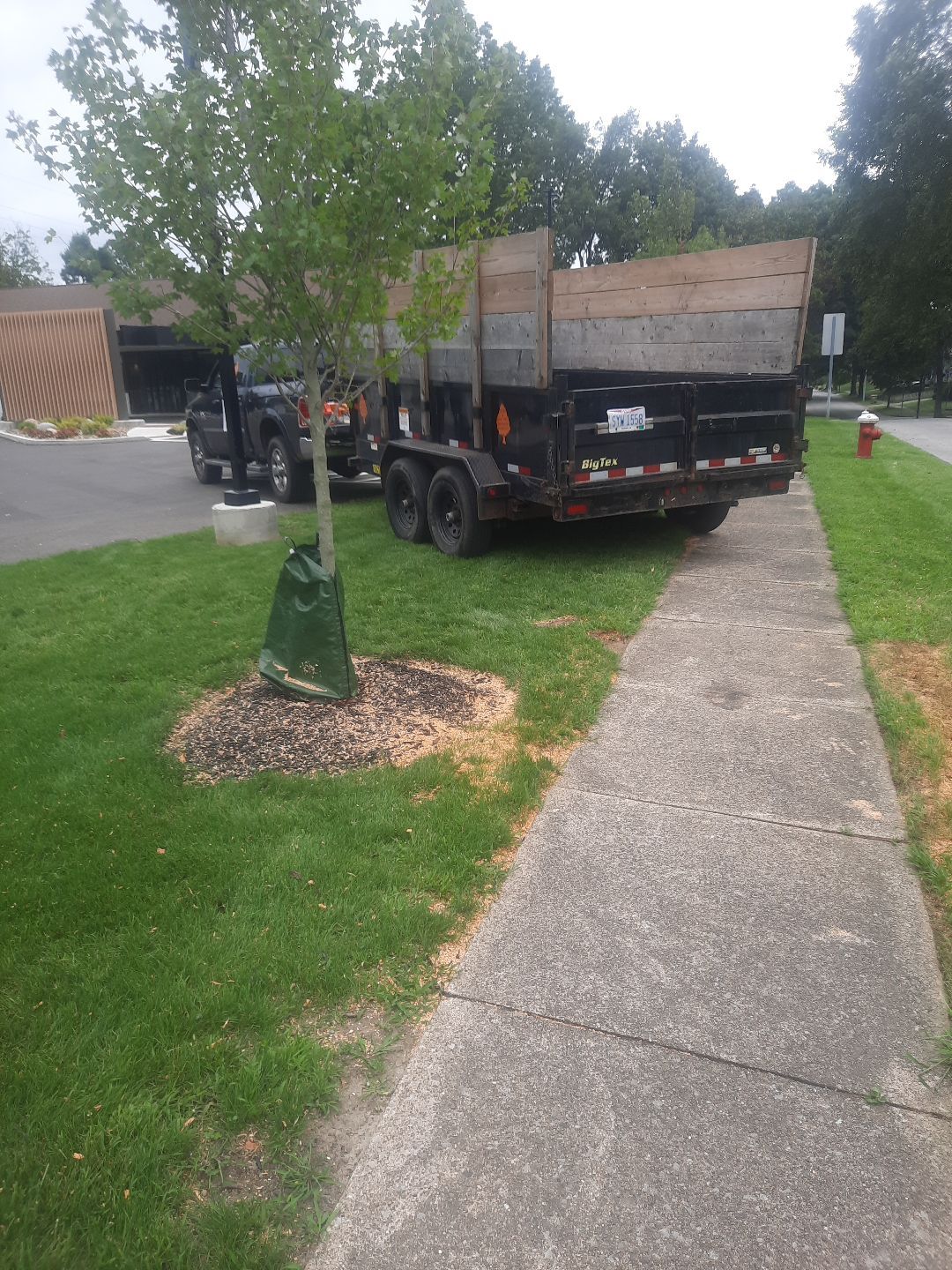 Tree Removal using Tree Removal by Mike Jones & Sons Tree Service LLC 