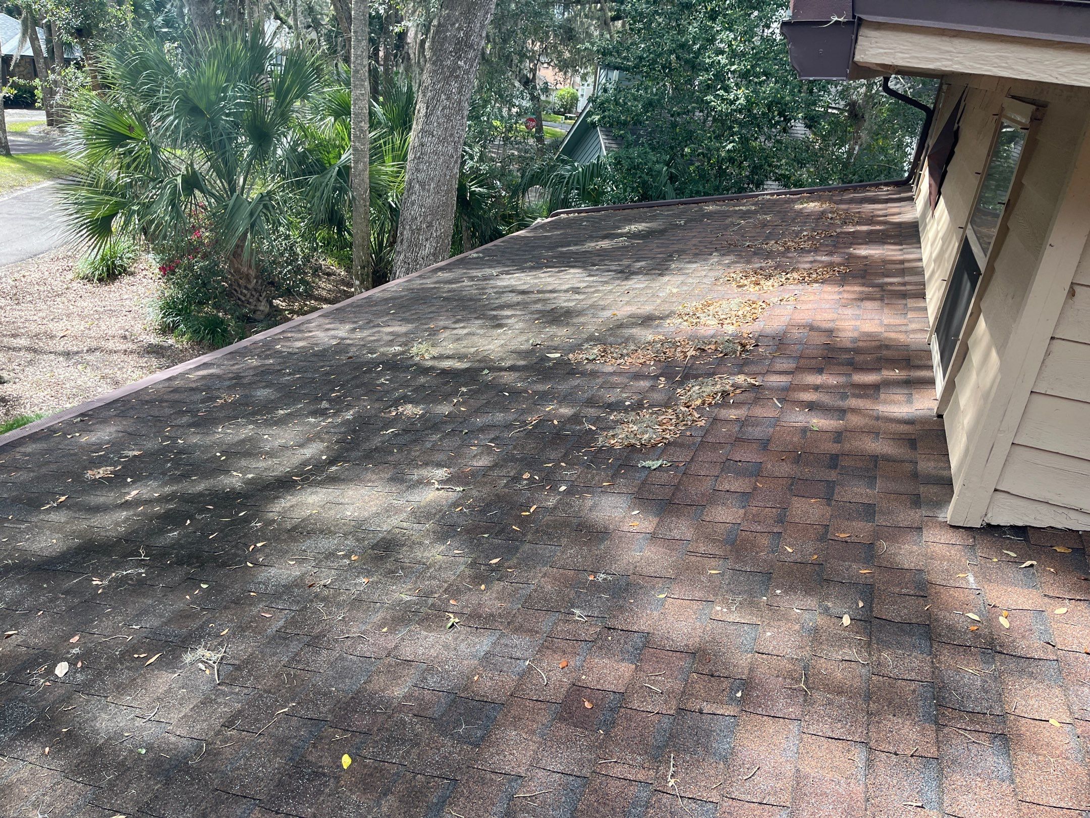 Shingle -> Shingle by Prime Roofing