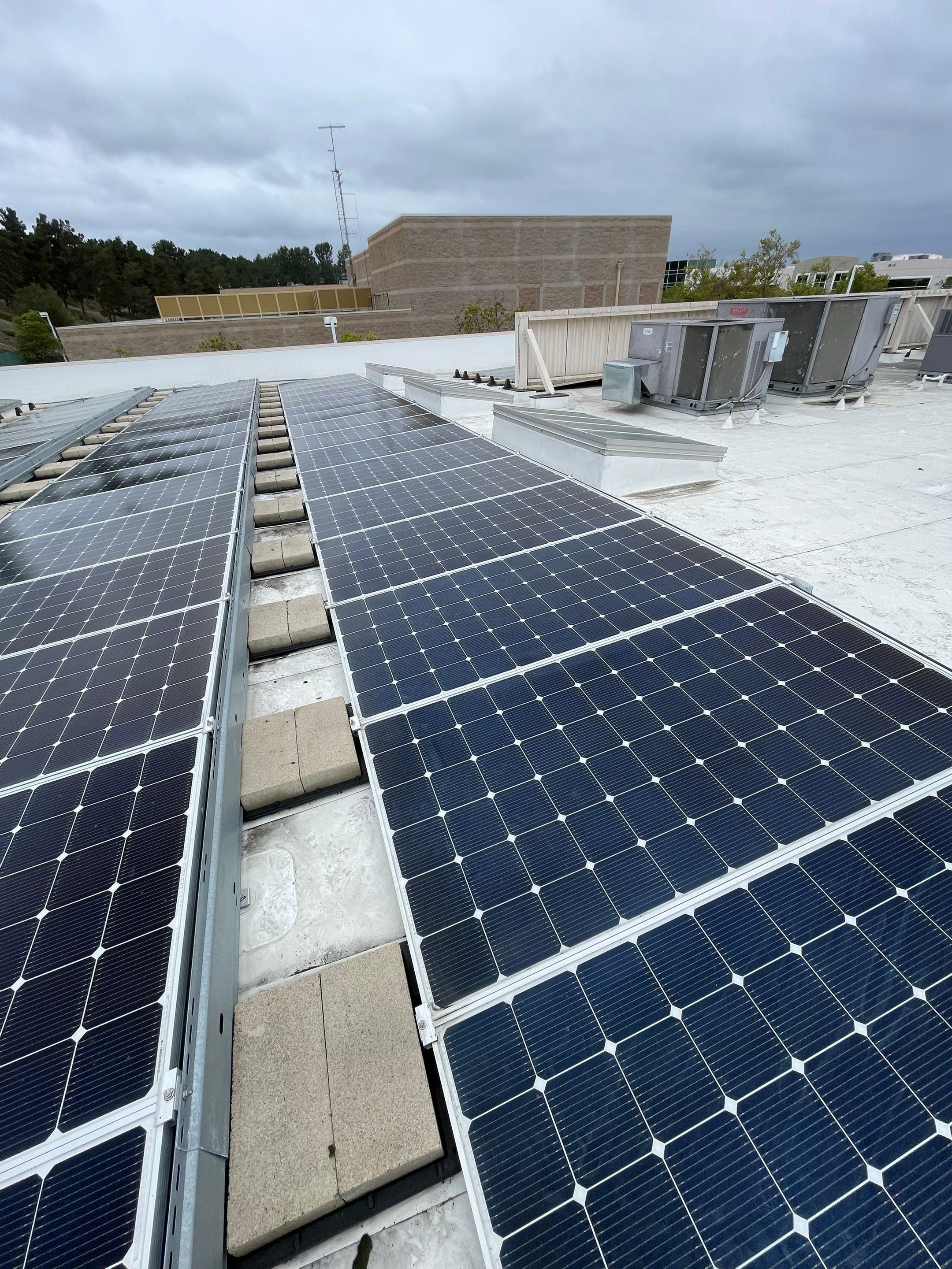 Commercial Solar Cleaning by Palm Coast Solar Cleaning