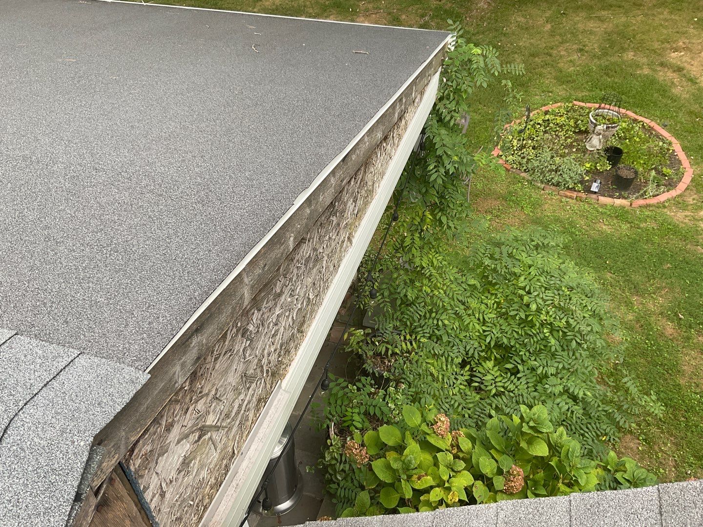 New Siding Installation  by Alpha Design Services