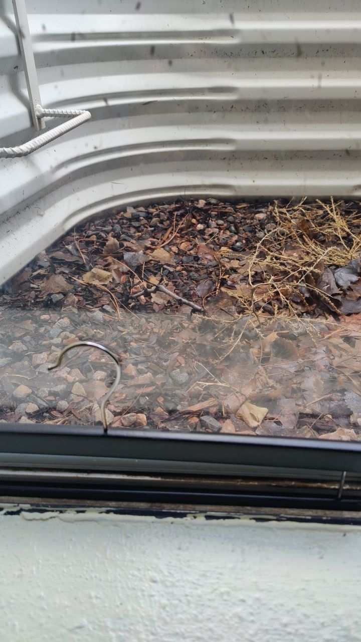 Water Damage by Accountable Home Services