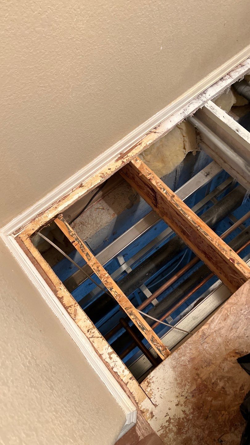 Mold Remediation by Accountable Home Services