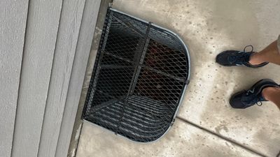 Project in Littleton