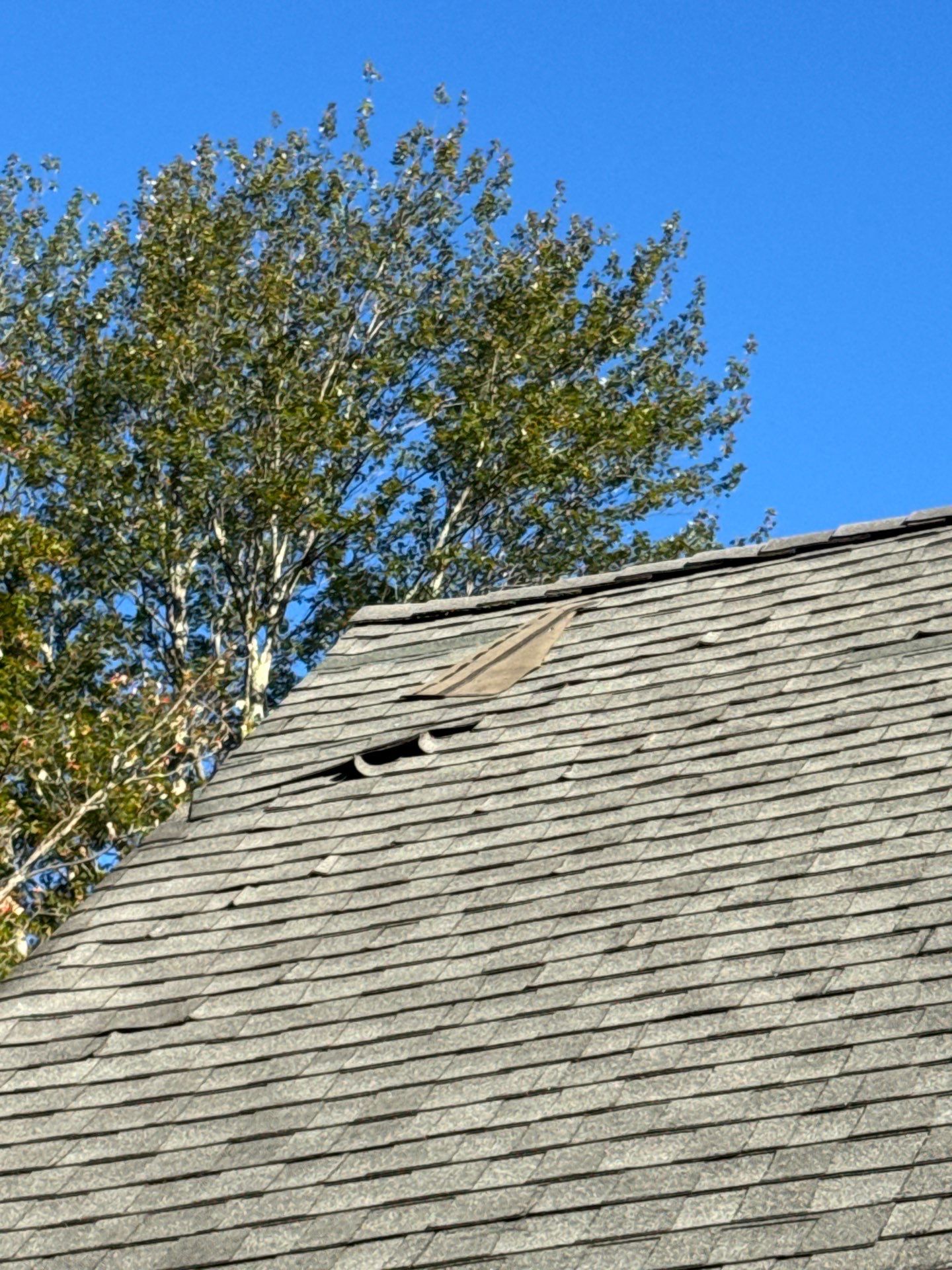 Roof Replacement by Mighty Dog Roofing of Greater Middlesex County