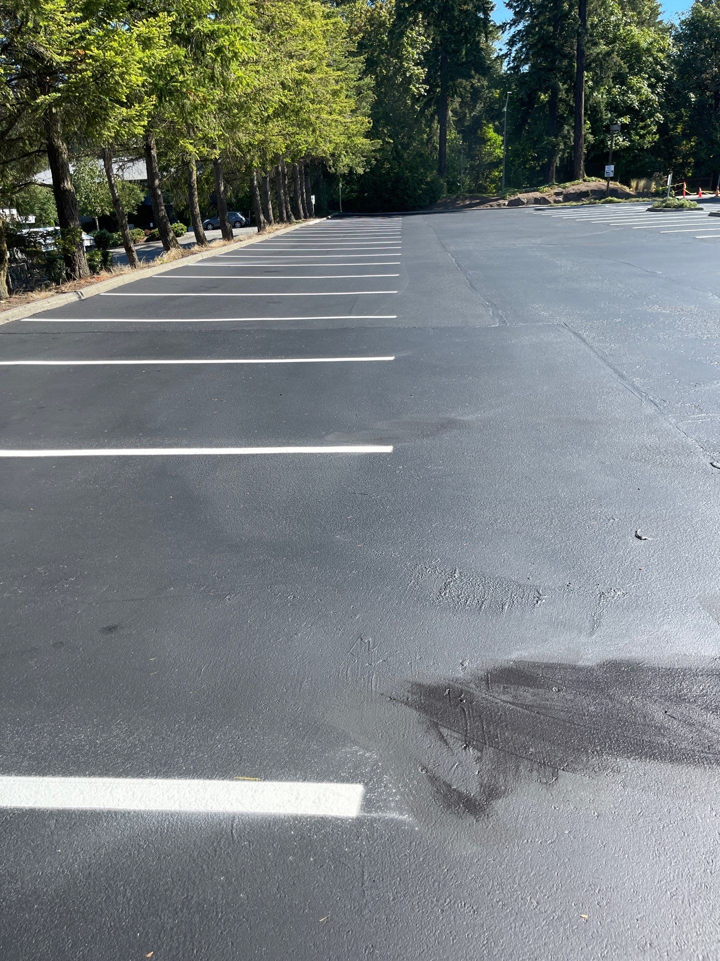 Buchan | Business Parking Lot Repair & Striping by Jireh Asphalt & Concrete Inc 