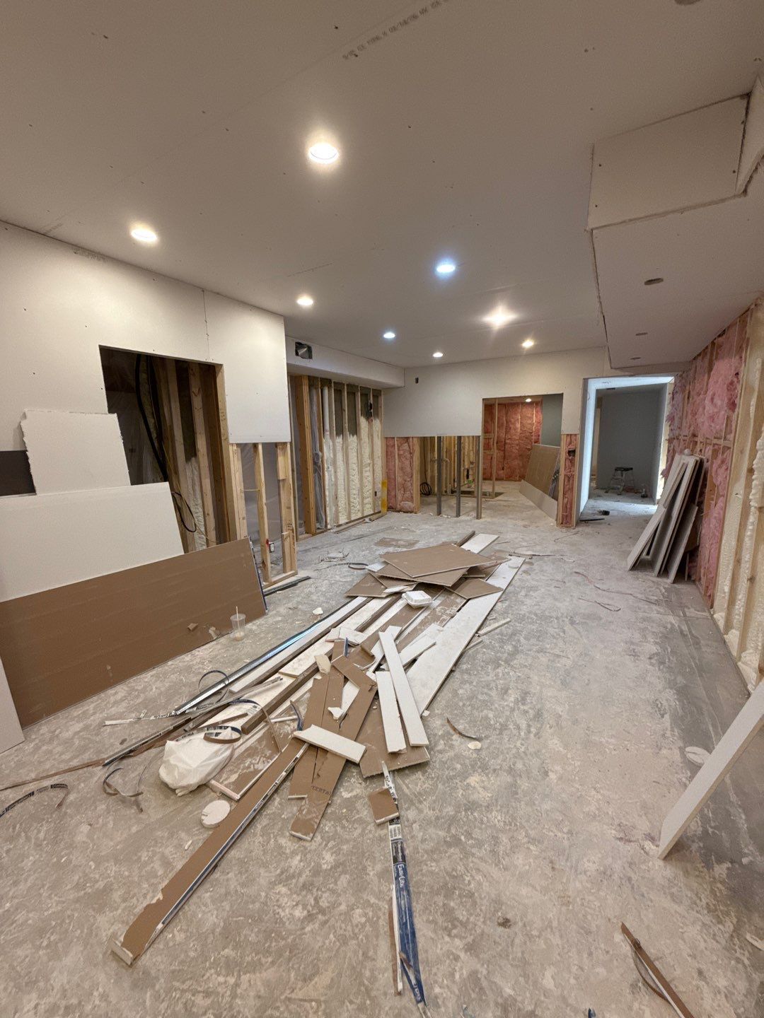 Basement Finishing Project with Home Gym and Sauna in Prospect by Authentic Carpentry