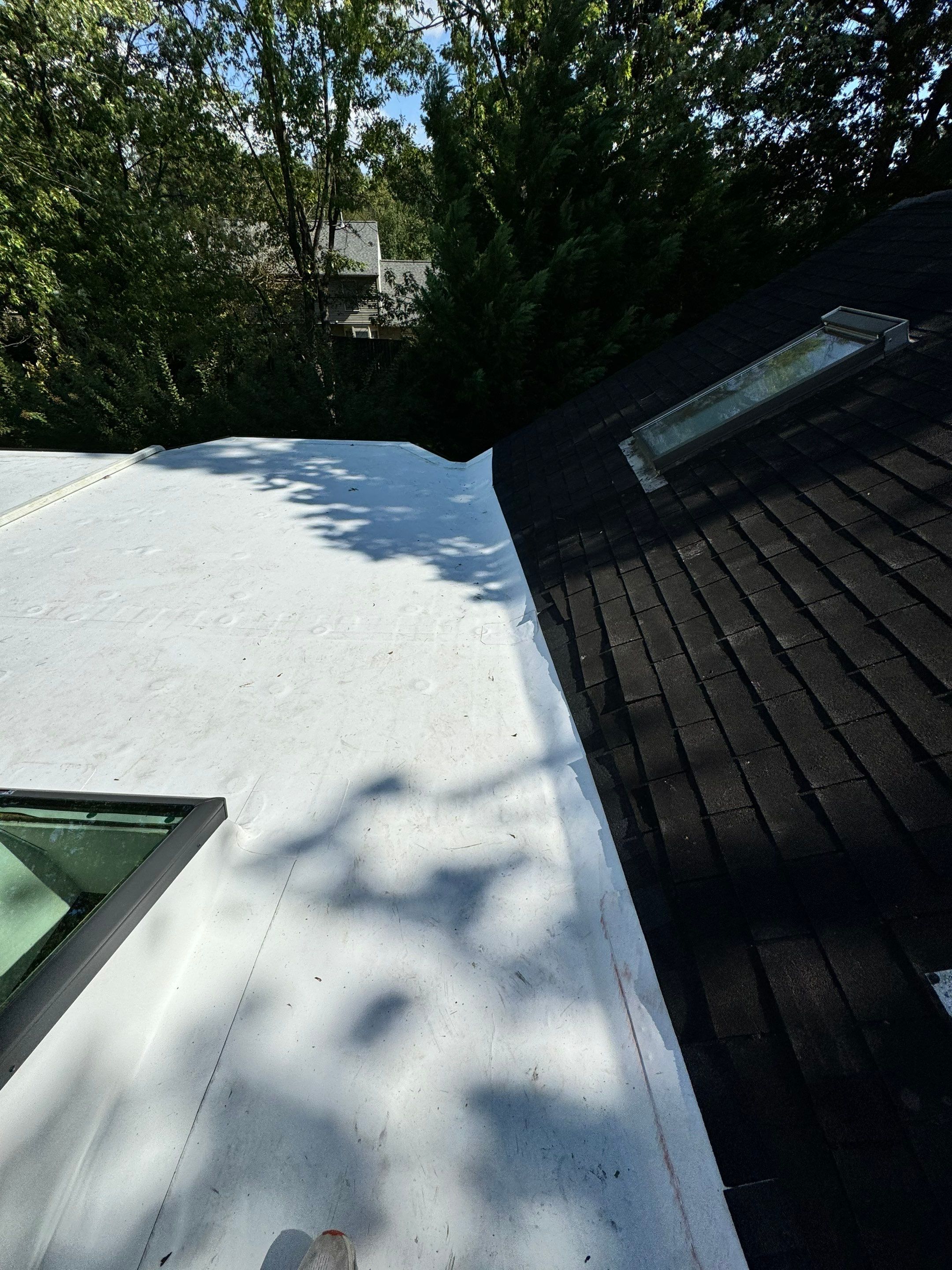 Alexandria: Residential Flat Roof Replacement with MuleHide TPO by RM Banning, Inc.