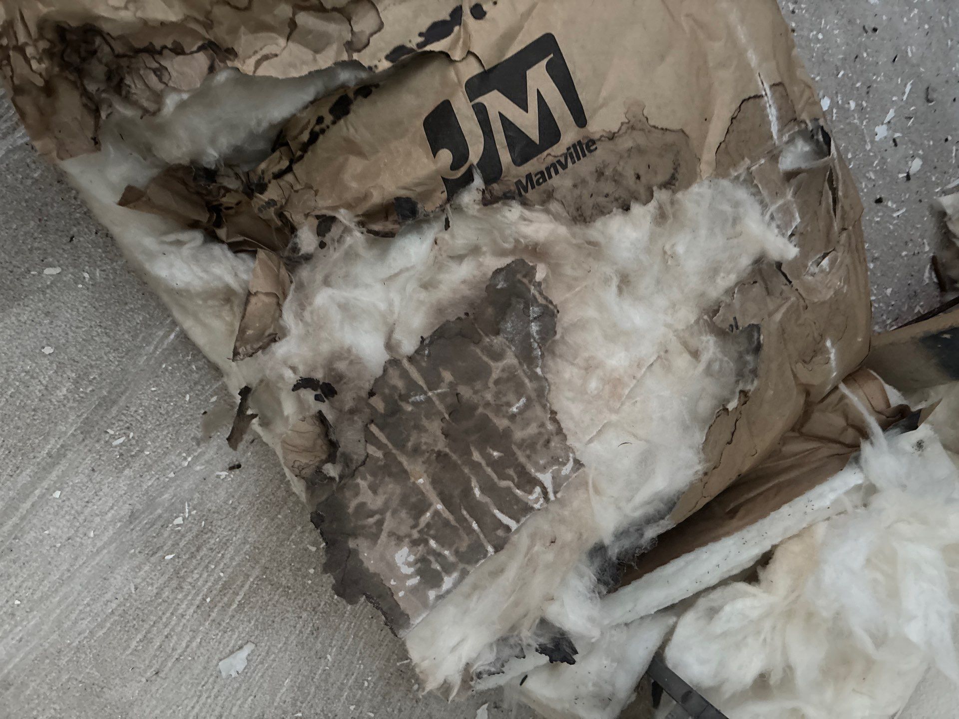 Mold Damage Inspection And Removal In North Port, FL by Ampm Restoration Services
