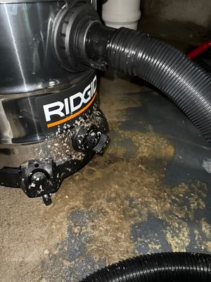 Crawlspace Sewage