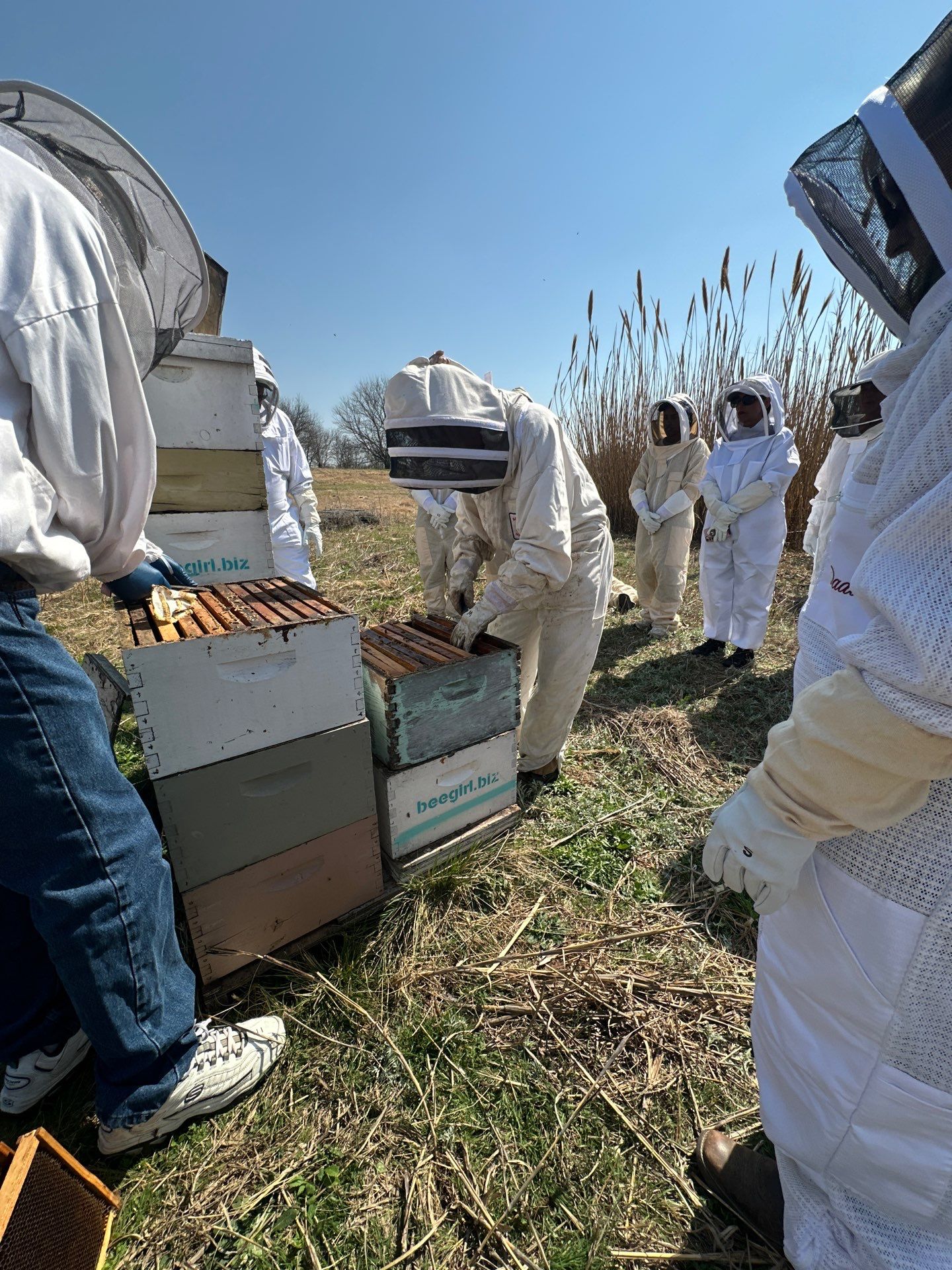 Teaching at an Apiary in Rowlett by Rockwall Honey Bee Company