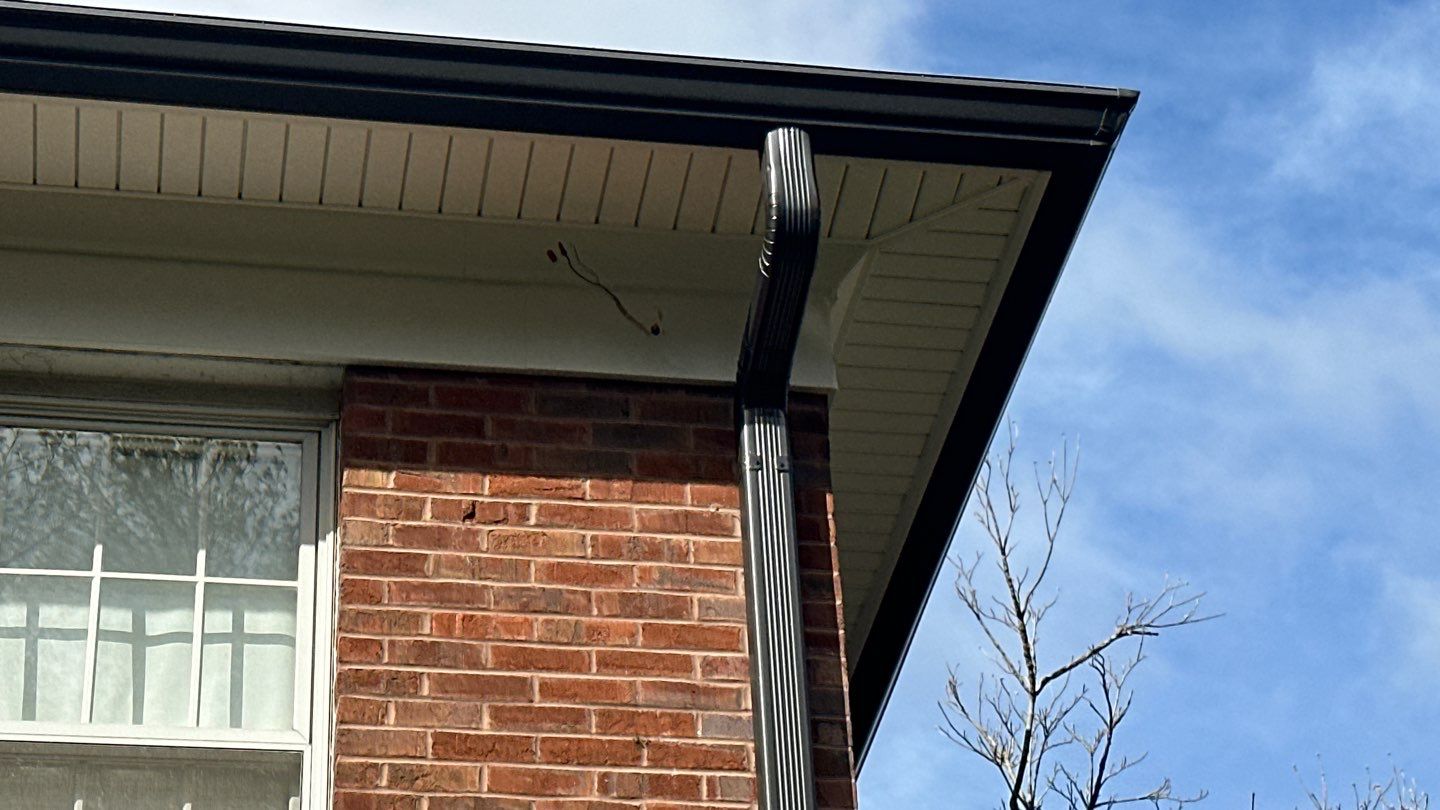 Clifton Multi-Trade Restoration: DaVinci Single Width Slate in Slate Black by RM Banning, Inc.