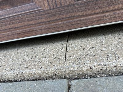 COATS 34900 Ludens 2024