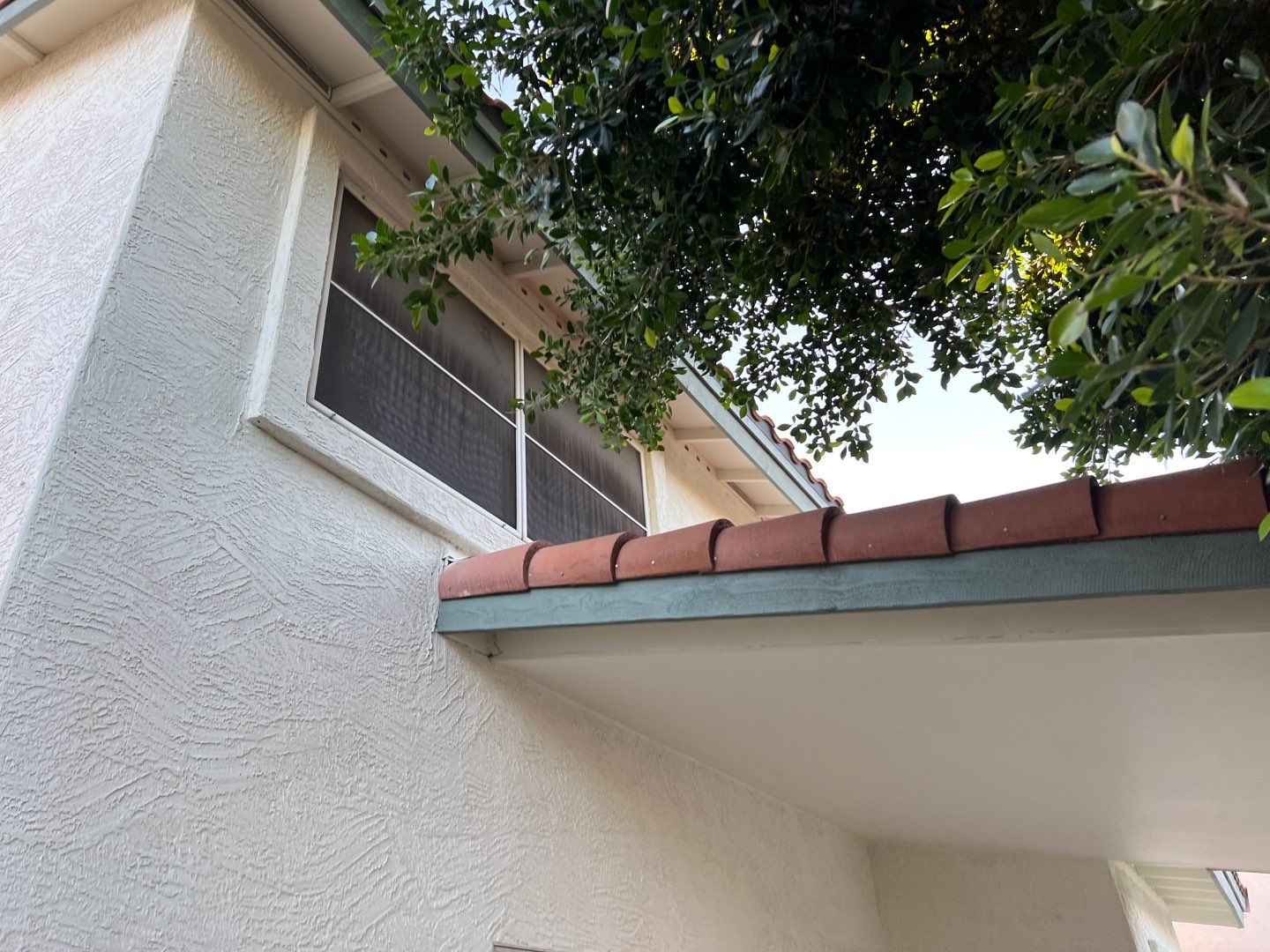 Exterior Painting using Dunn-Edwards EVERSHIELD®  by Crash of Rhinos Painting & Garage Floors