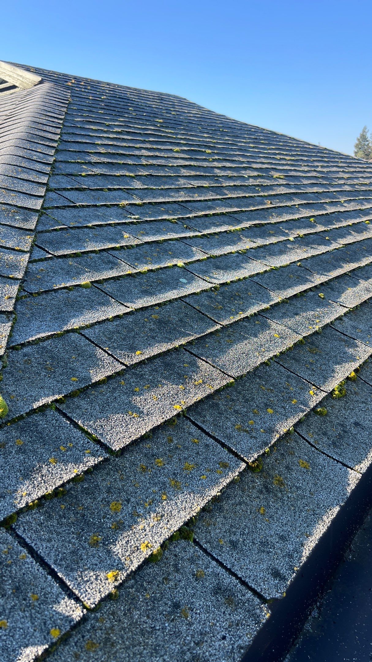 Roof Rejuvenation using Roof Maxx Treatment by Roof Maxx of Folsom