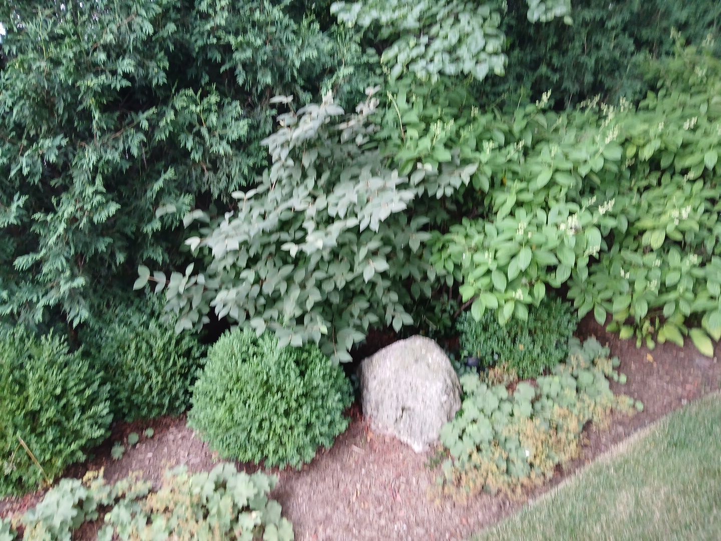 Michael I. - Glenview, IL by A&N 