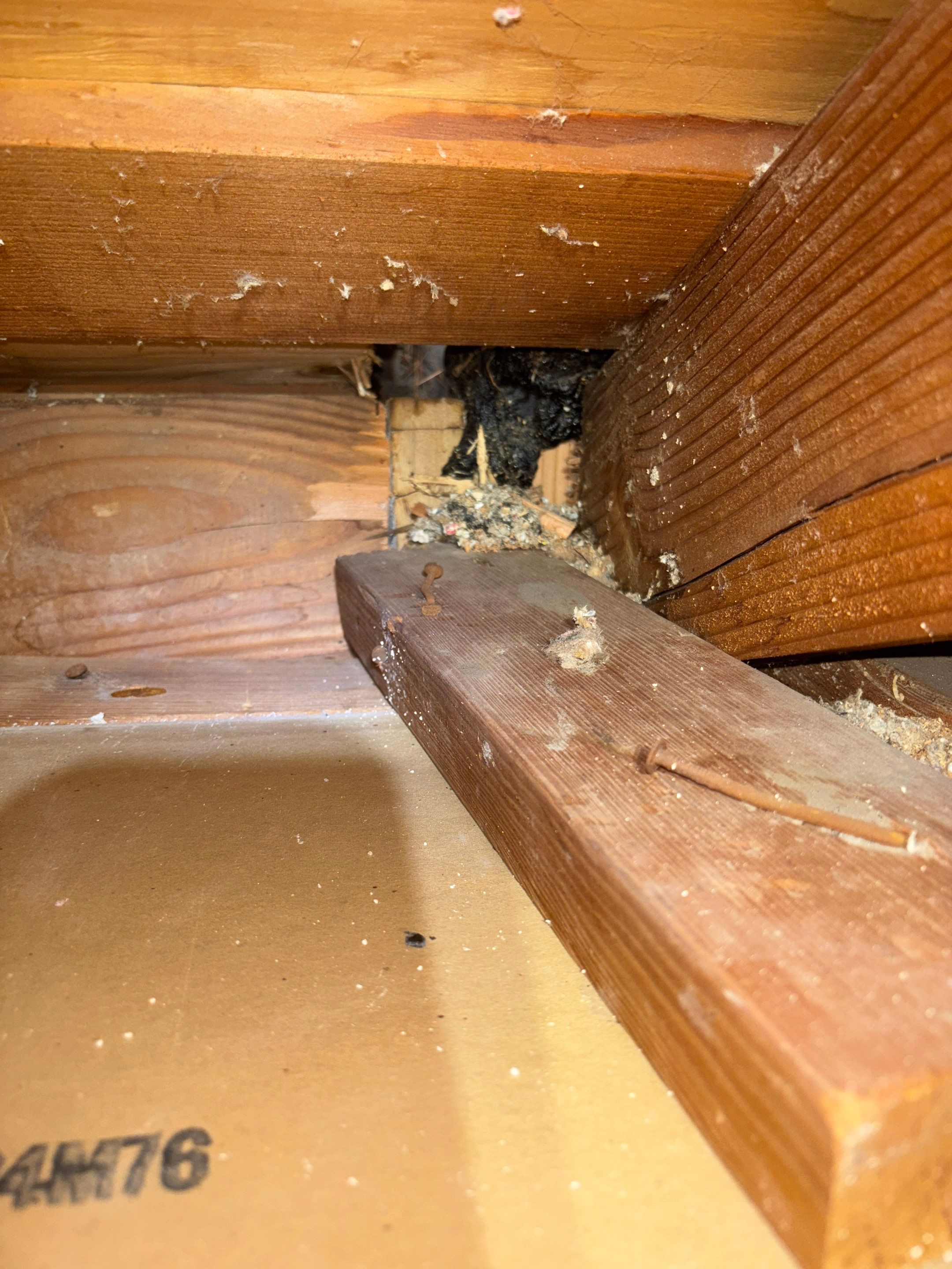 Project in Thousand Oaks by Insulation Labs