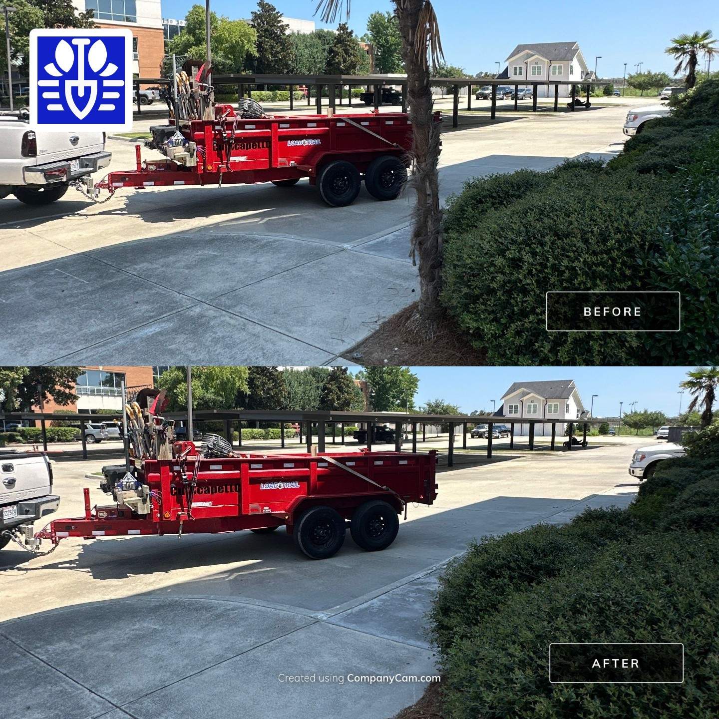 LANDSCAPE SERVICES: HEDGE TRIM / BED CLEAN by CutScape, LLC.