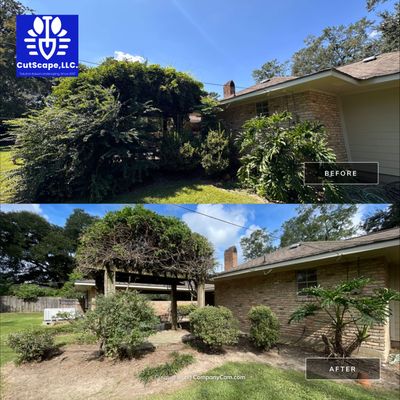 HERBICIDE / CLEAN OUT / TRIM / BRUSH DEBRIS REMOVAL using BRUSH REMOVAL / PROPERTY CLEAN UP LABOR