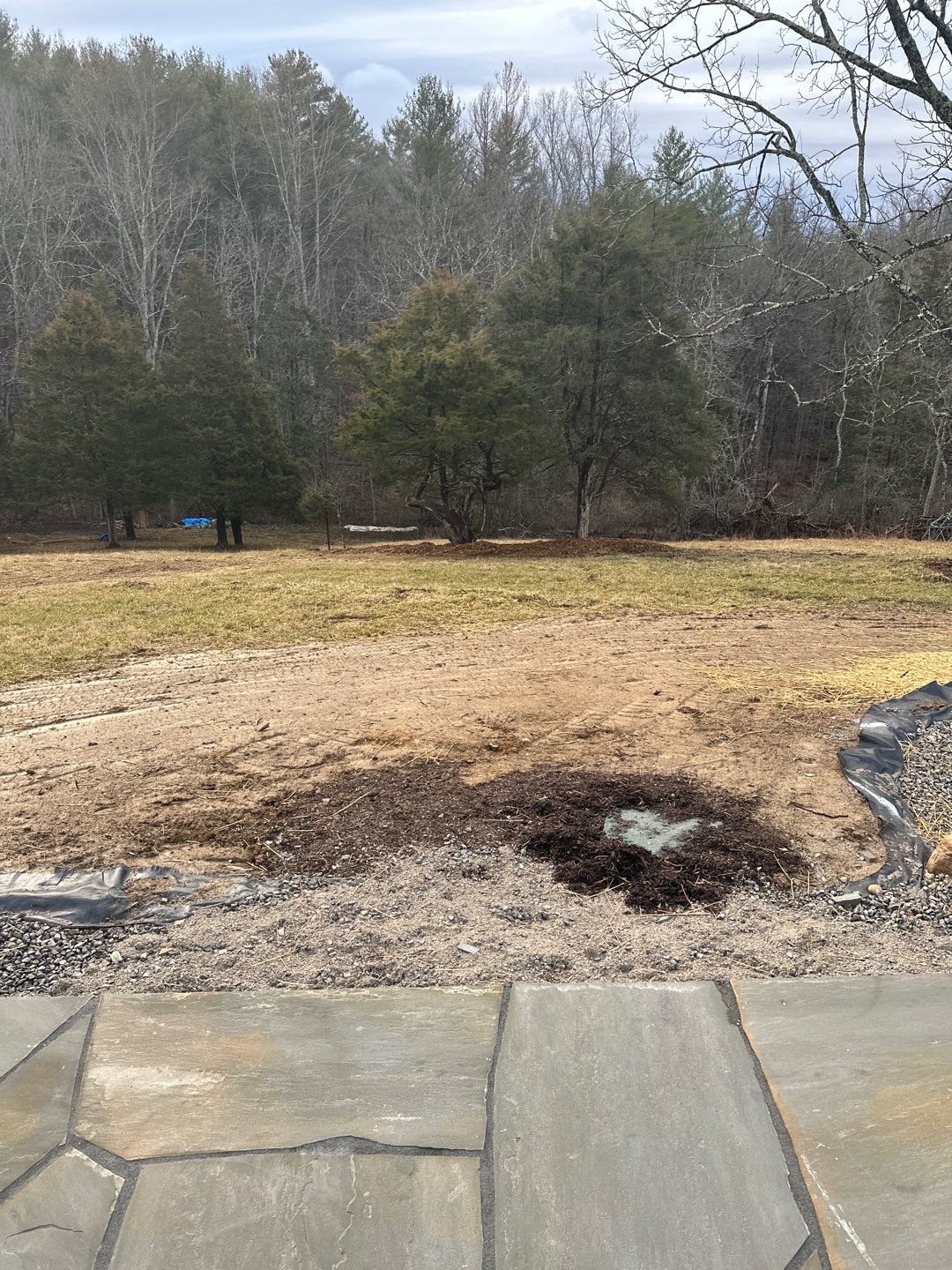 Clay street  by Back To Nature Landscaping & Construction