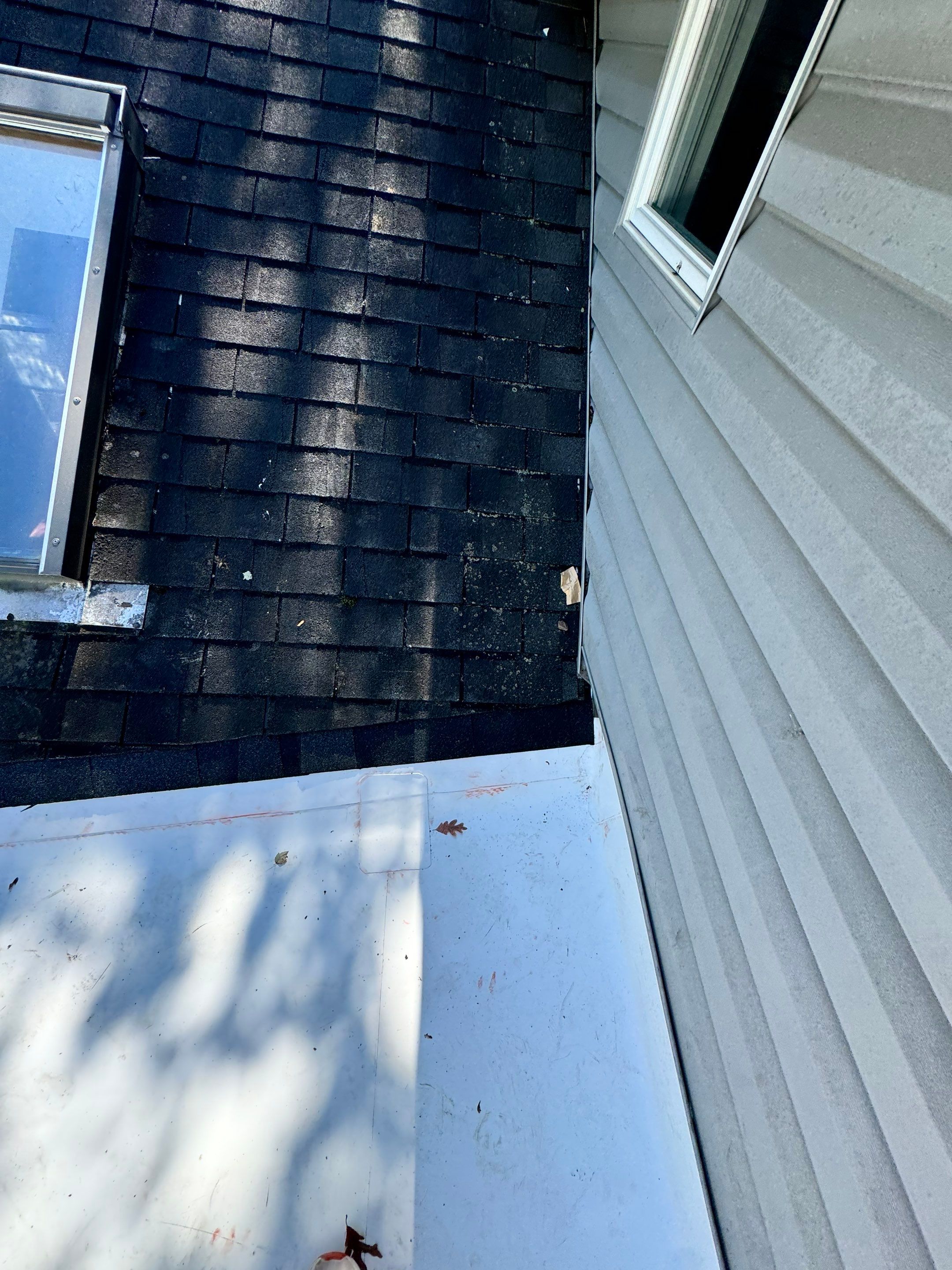 Alexandria: Residential Flat Roof Replacement with MuleHide TPO by RM Banning, Inc.