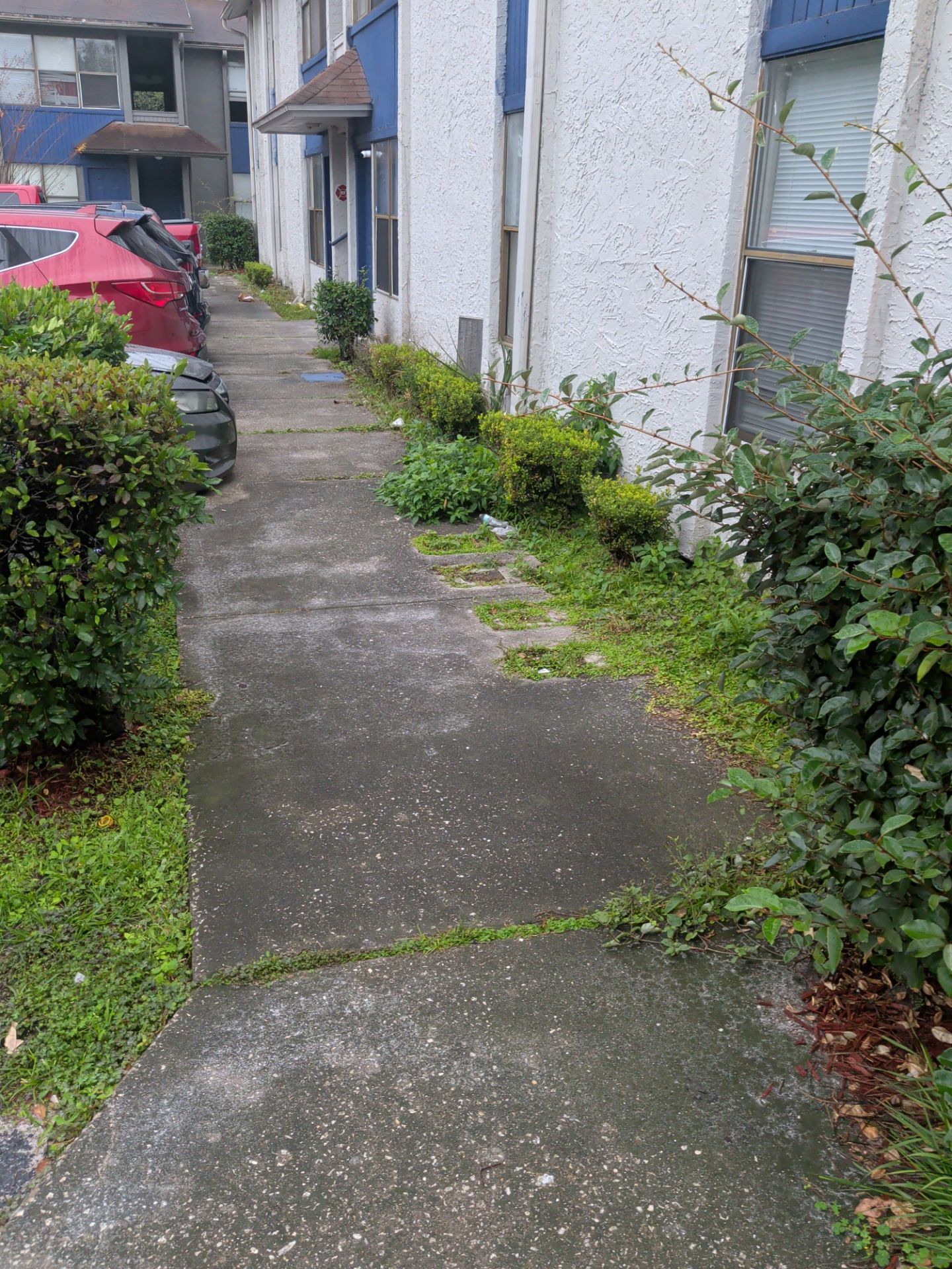 Commercial Landscape Cleanup & Weekly Maintenance — Grassy Pond Apartments by Harmoni Home Services