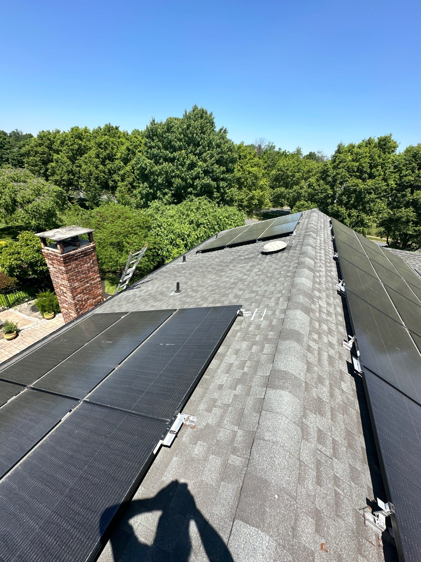 Silver Birch Shingles by Reimagine Roofing