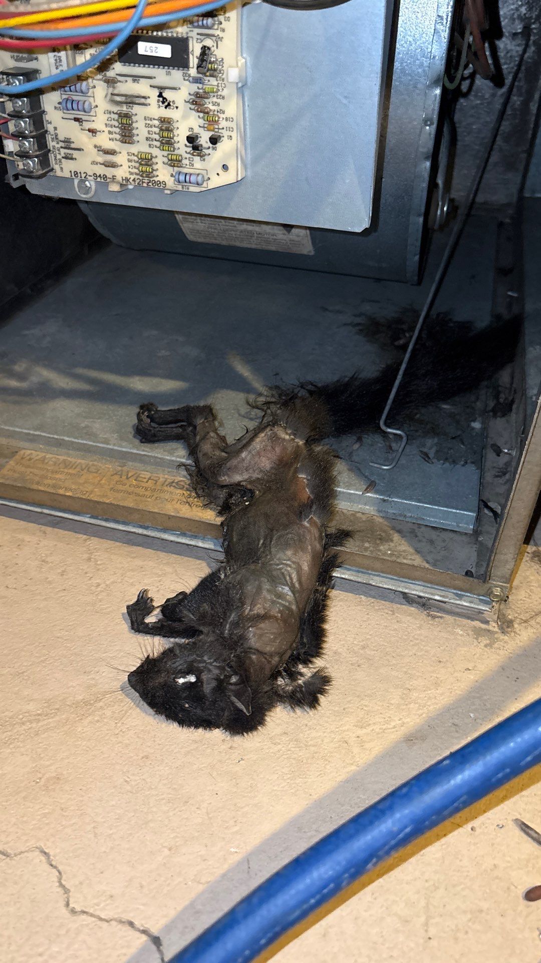 Professional Air Duct Cleaning and HVAC Decontamination in Youngstown by Superior Air Duct Cleaning