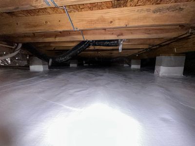 Crawlspace Mold Remediation in Austin, IN