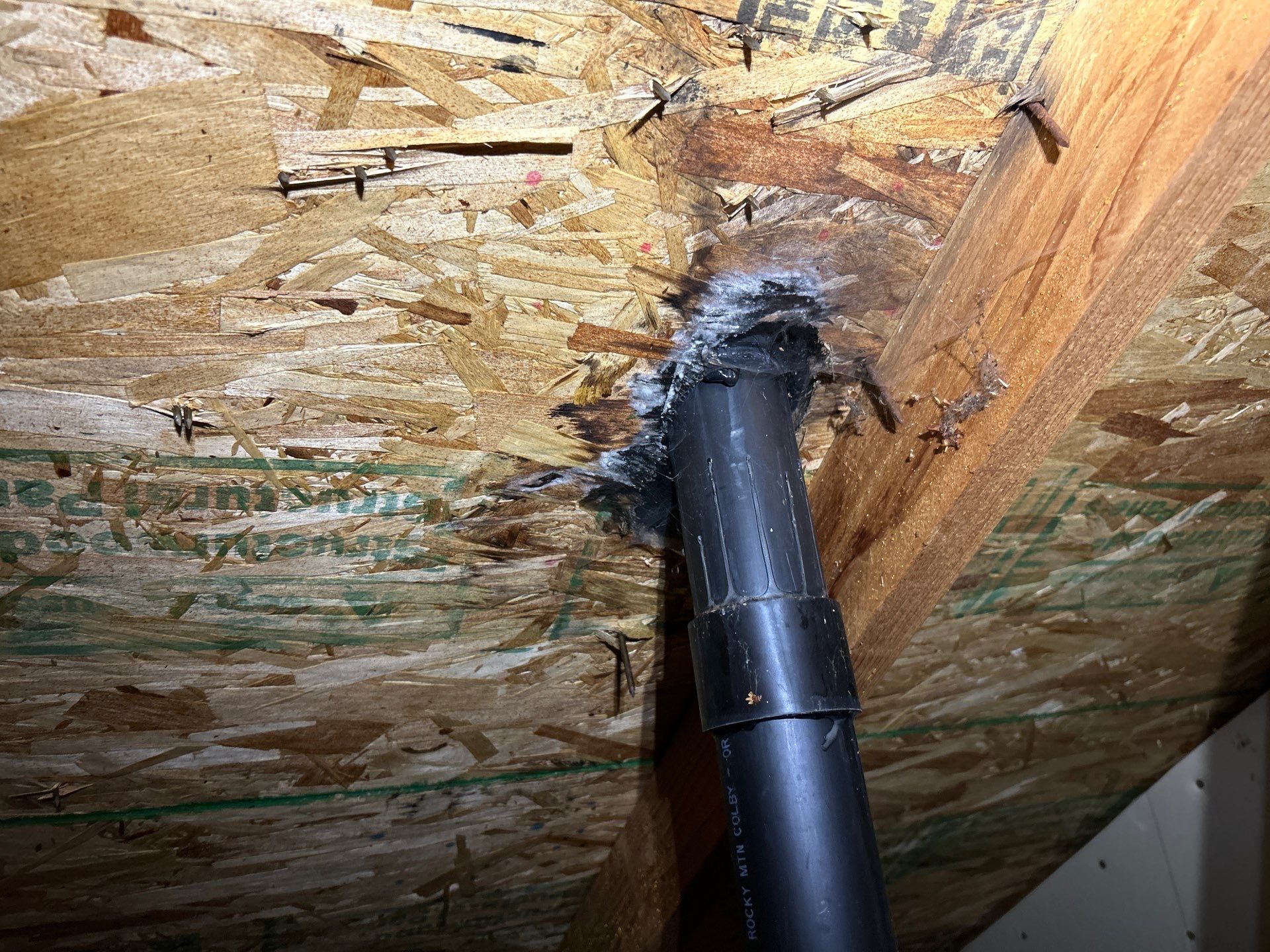 Emergency Leak Repair in Portland by Prodigy Roof Solutions