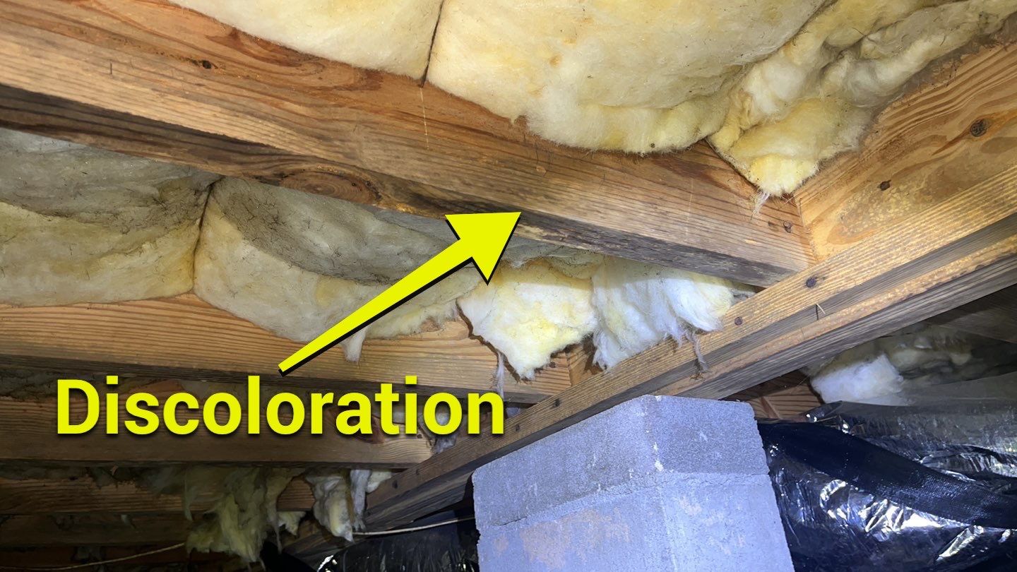 Impact Choice Encapsulation using YCS Pro Cleaner by Impact Crawlspace