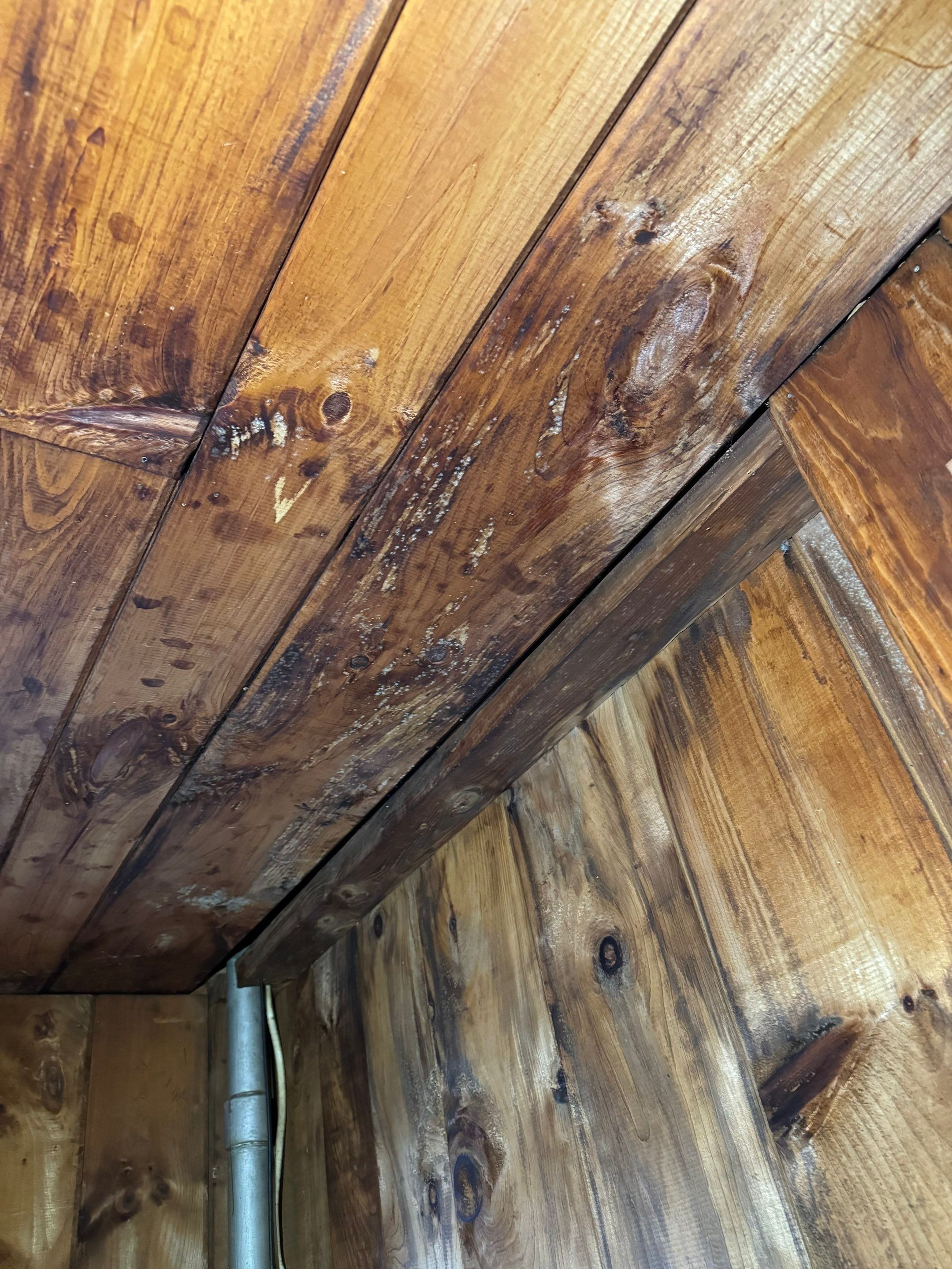 Entire Home Remediation by Home Guarantee, LLC