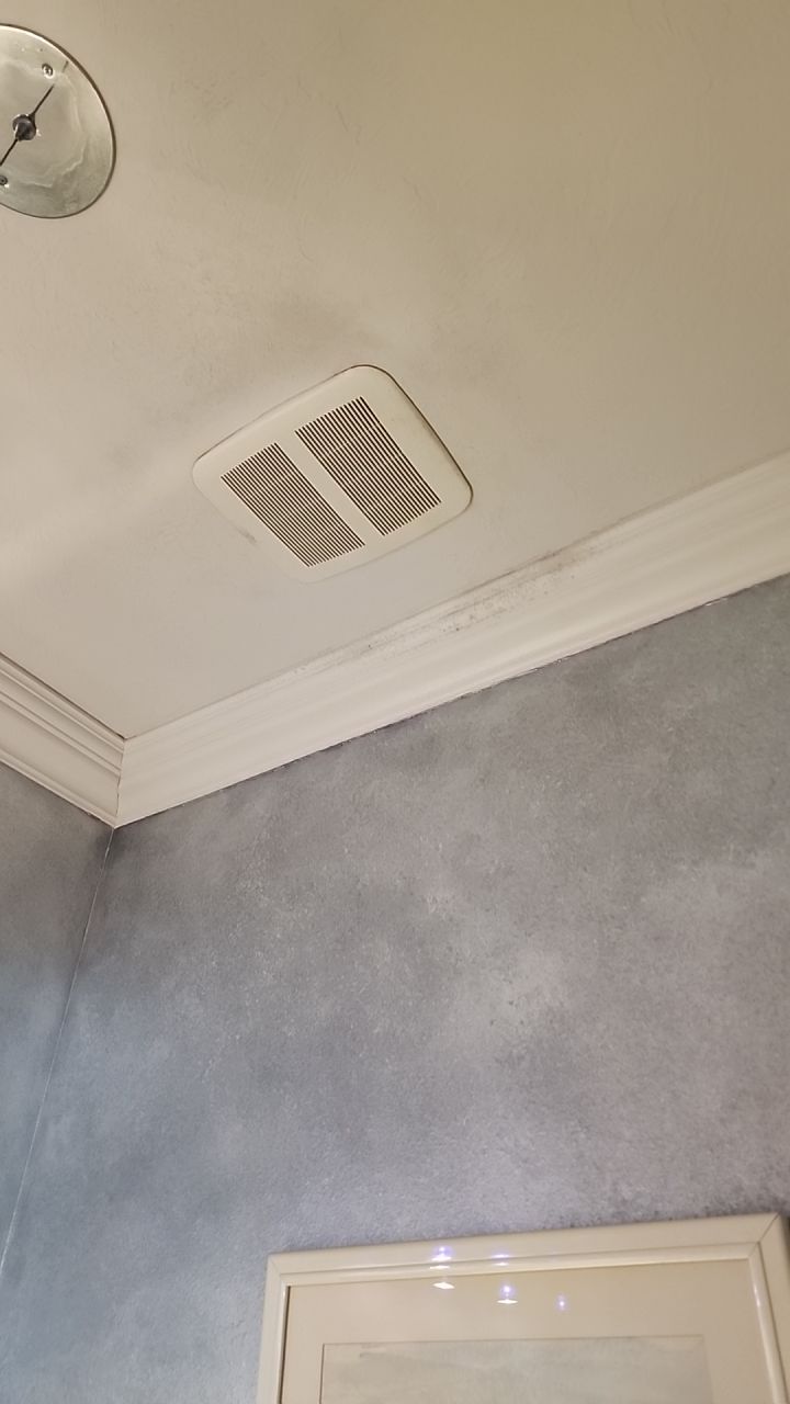 HVAC MOLD ASSESMENT by Building performance Solutions LLC