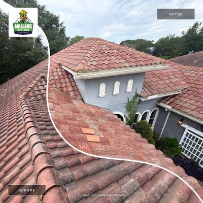 Barrel Tile Roof Cleaning in Windermere