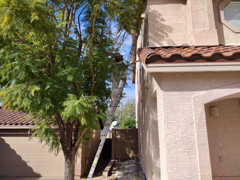 Build Year: 2000; 1950 s.f.; Residential Single Family Home in Phoenix AZ 85024 by Crash of Rhinos Painting & Garage Floors