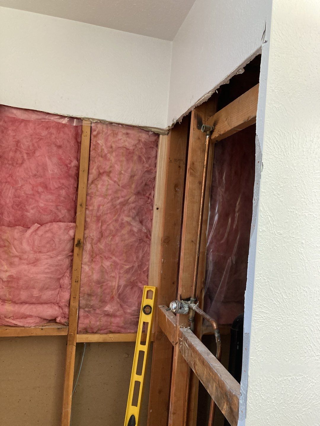Mold Remediation  by Accountable Home Services