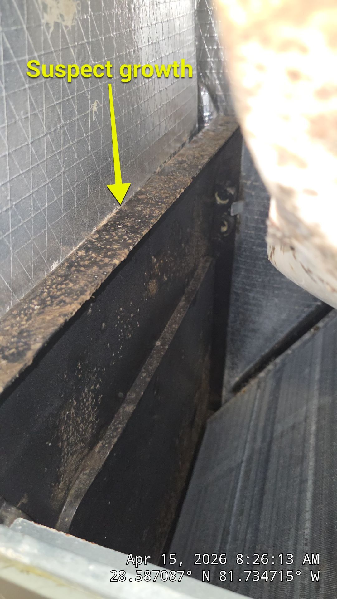 Air Duct Bath Fan Cleaning in Clermont by Hygienic Air, Inc