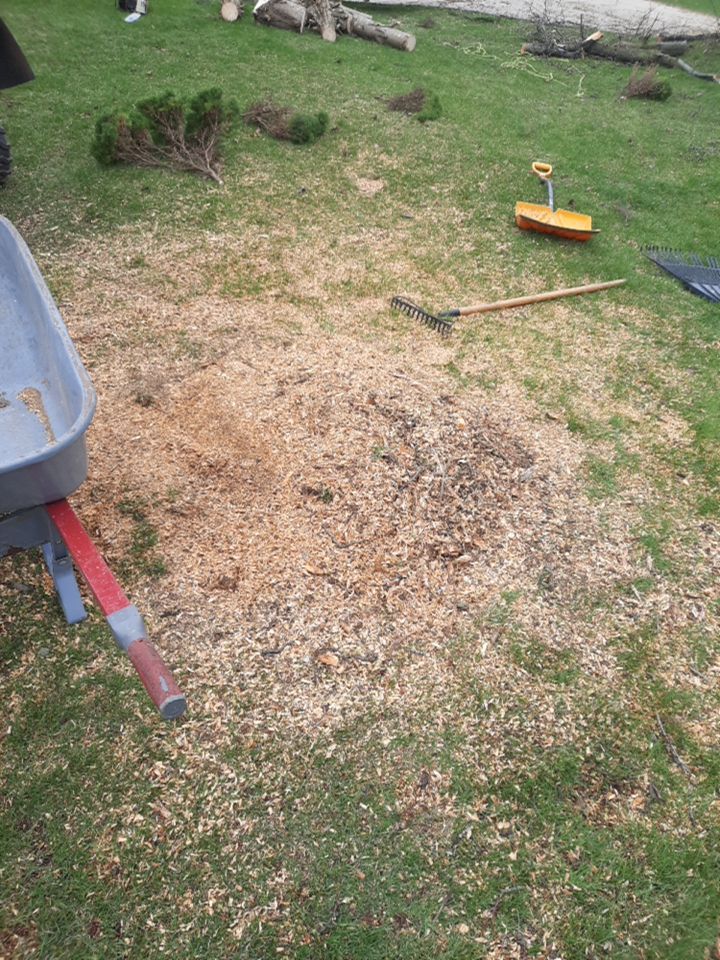 Tree Removal using Tree Removal by Mike Jones & Sons Tree Service LLC 