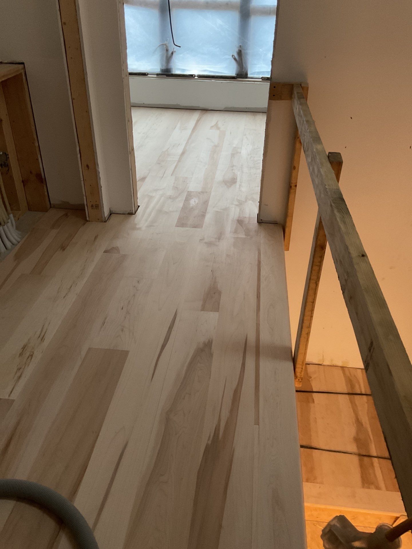 Full glue down Installation over radiant heat 7" Maple character grade by Ann Arbor Hardwoods 