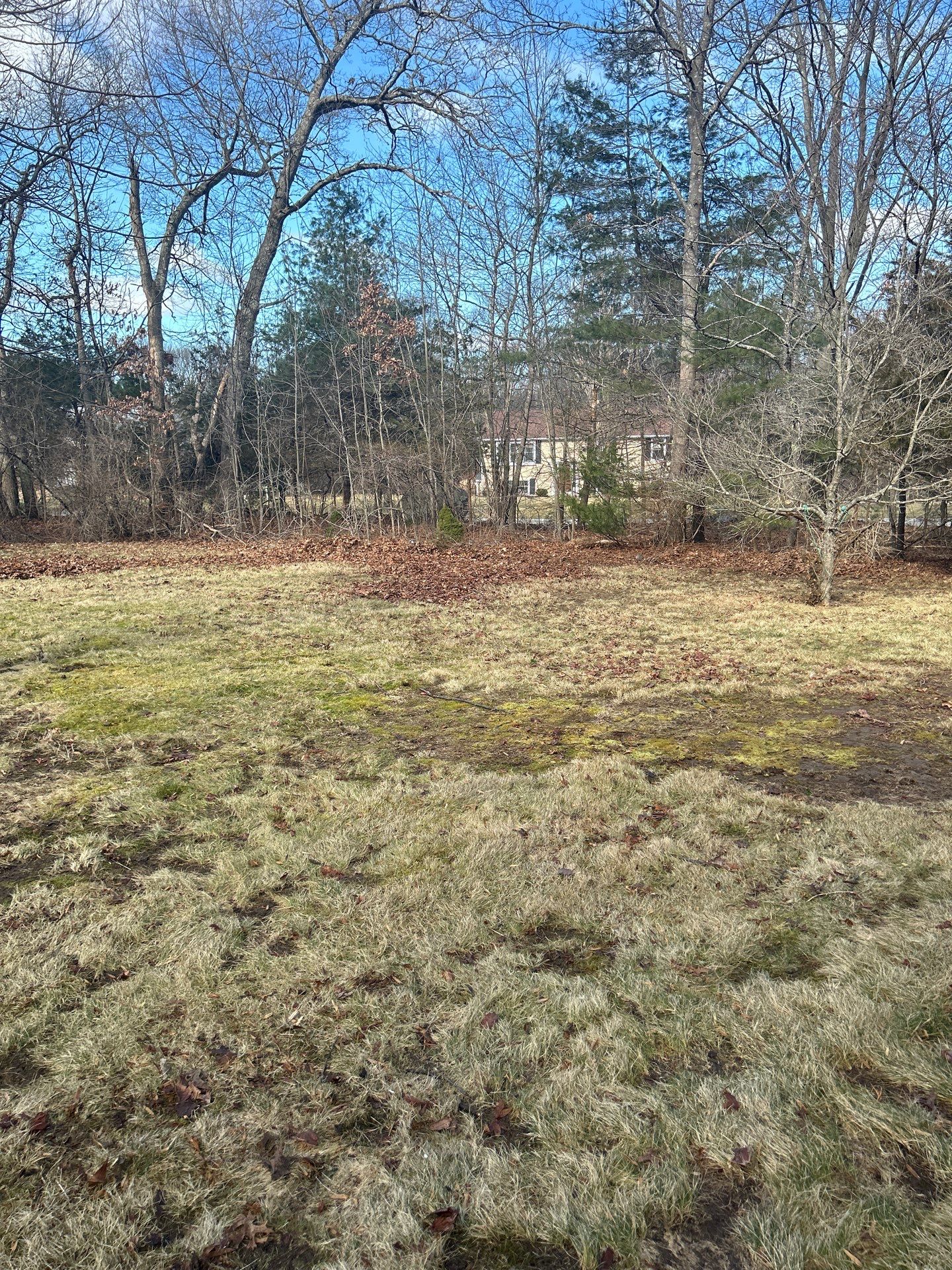 Landscape Walkthrough by LaMere Landscaping and Property Maintenance