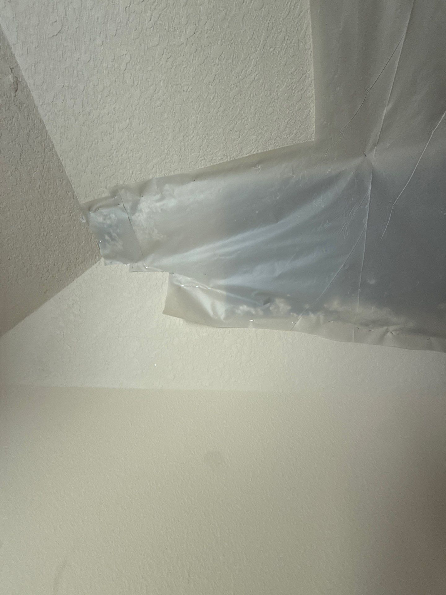 The Ayobi Family by SophAlx LLC