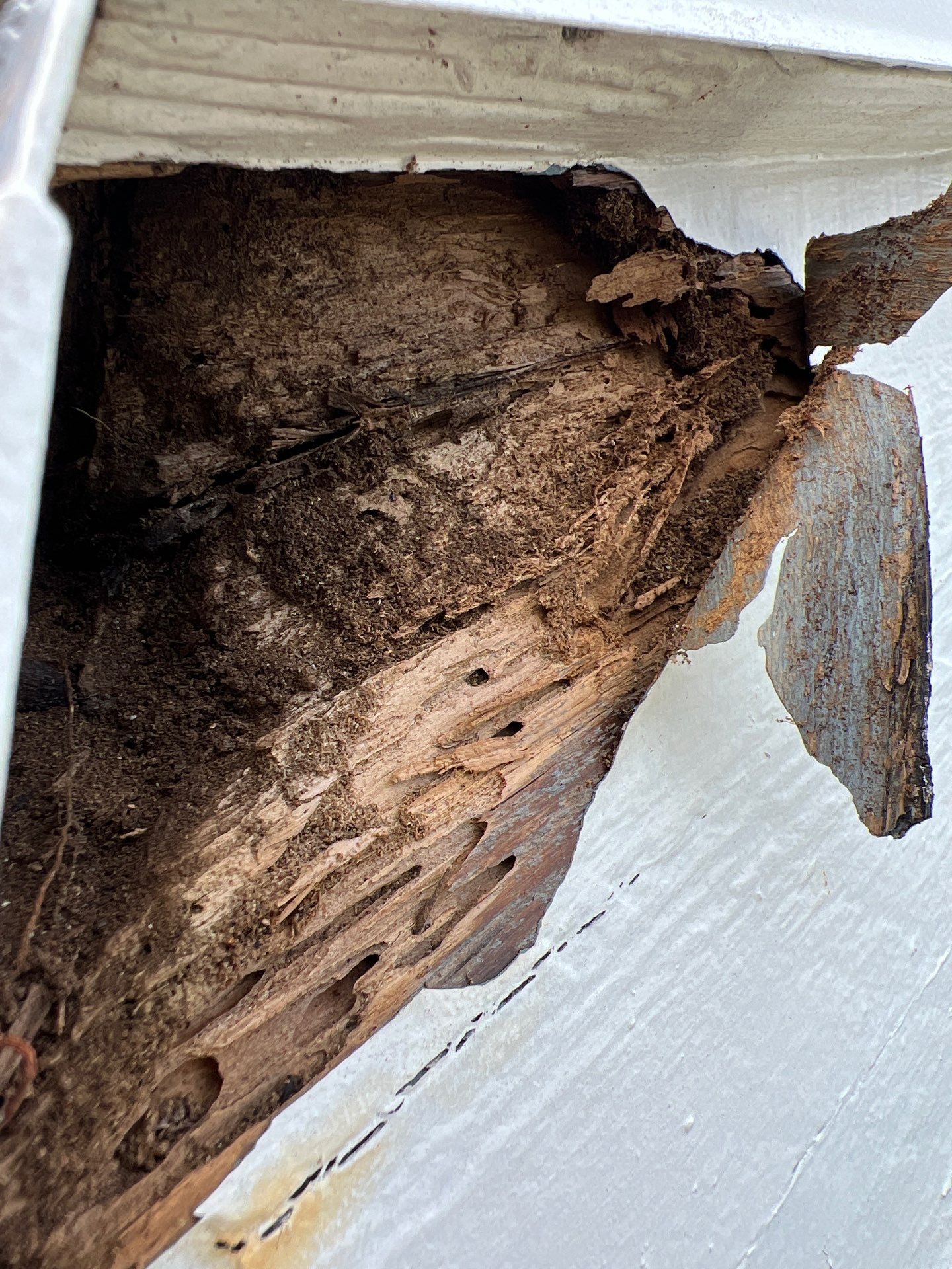 Fascia Repair by First Due Roofing