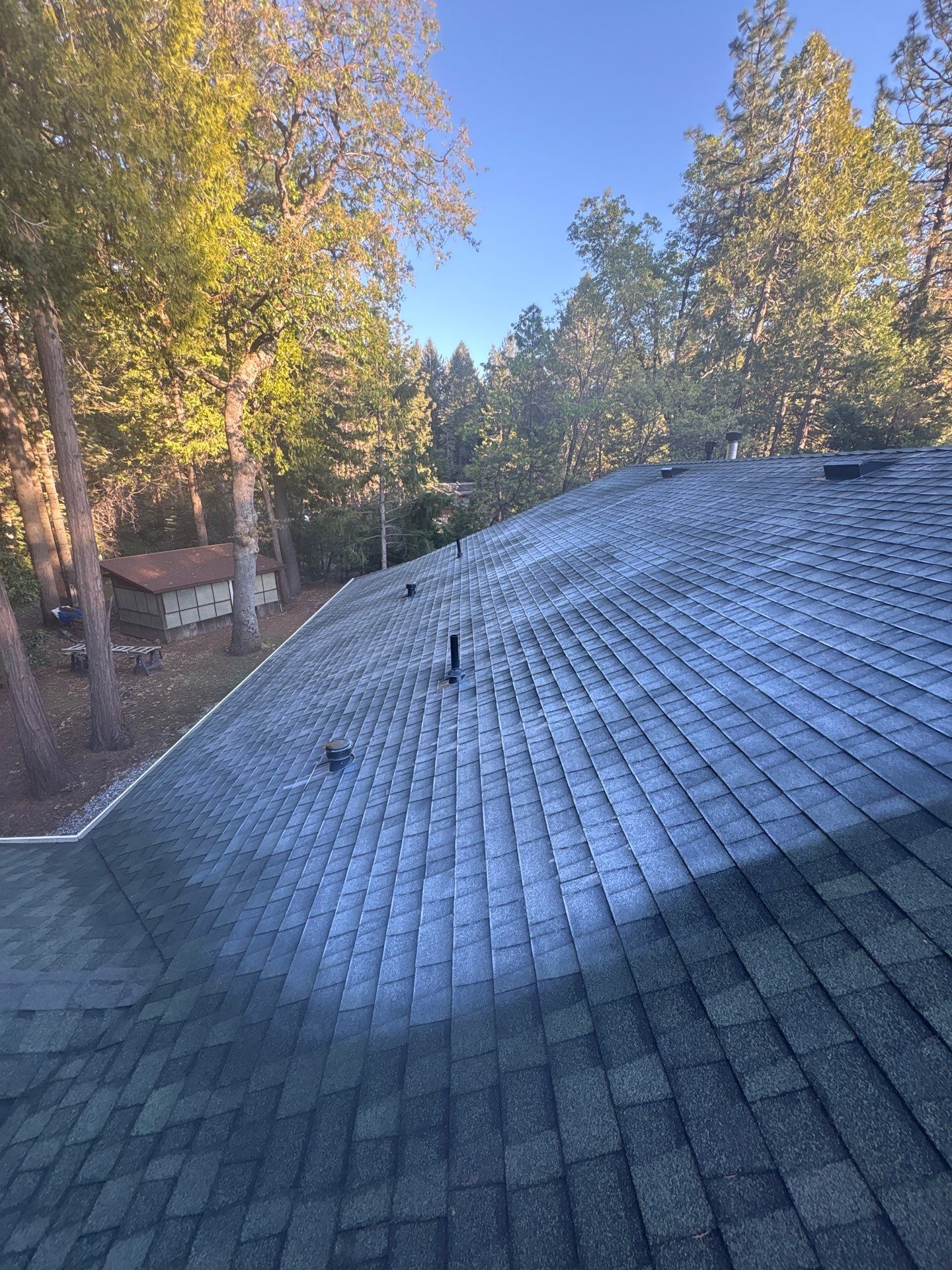 Roof Rejuvenation using Roof Maxx Treatment by Roof Maxx of Folsom