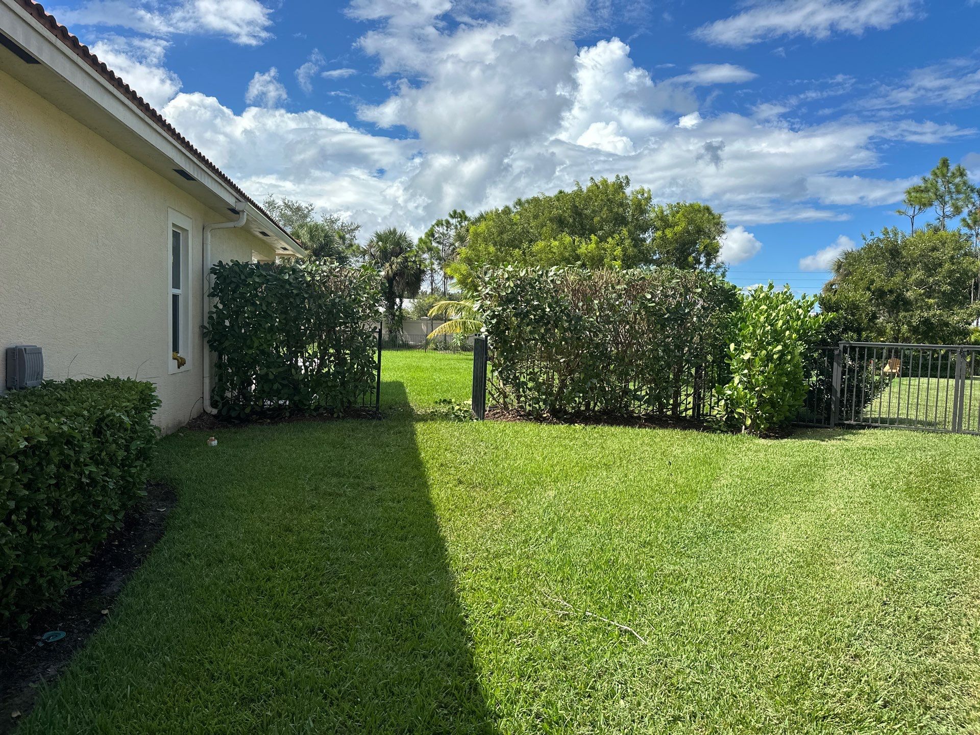 From Overgrown to Picture-Perfect - Stuart Refresh by Alpha Zeta Enterprises Inc