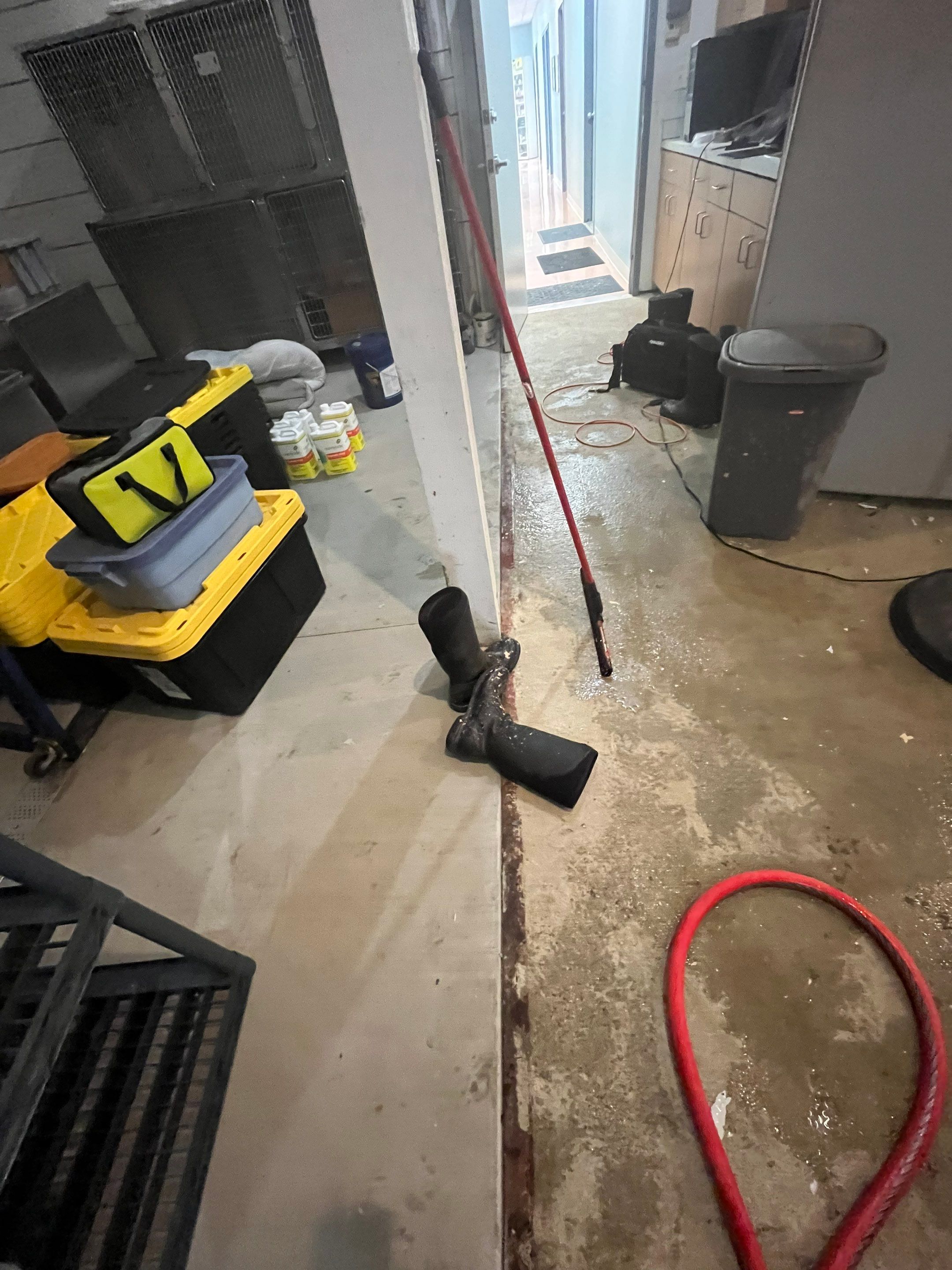Durable Commercial Concrete Coatings for Brandon Valley Veterinary Clinic by Select Painting, Coatings & Garage Cabinets