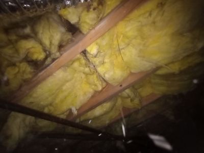 Crawlspace Mold Contamination