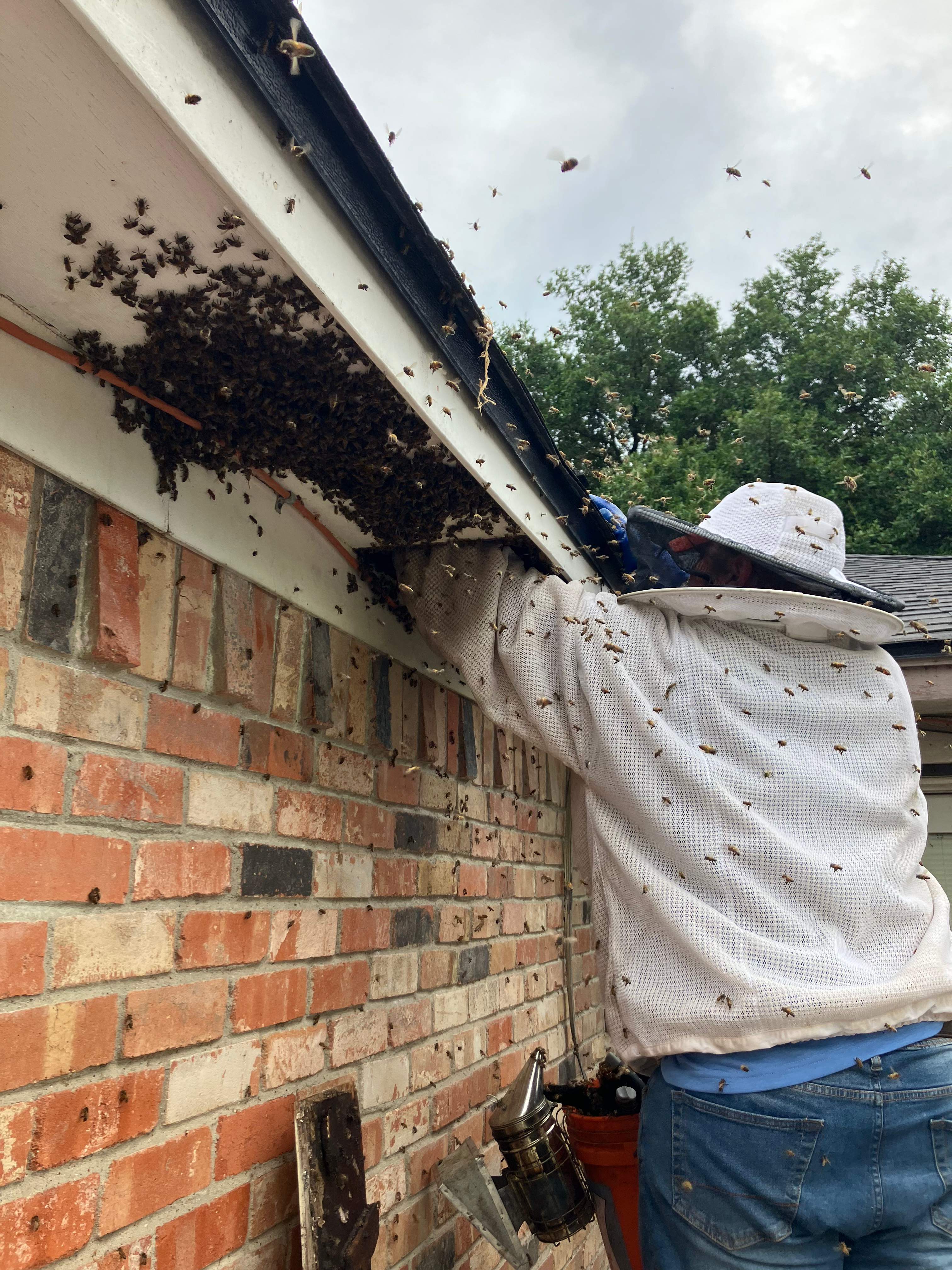 Improper Repair by Rockwall Honey Bee Company