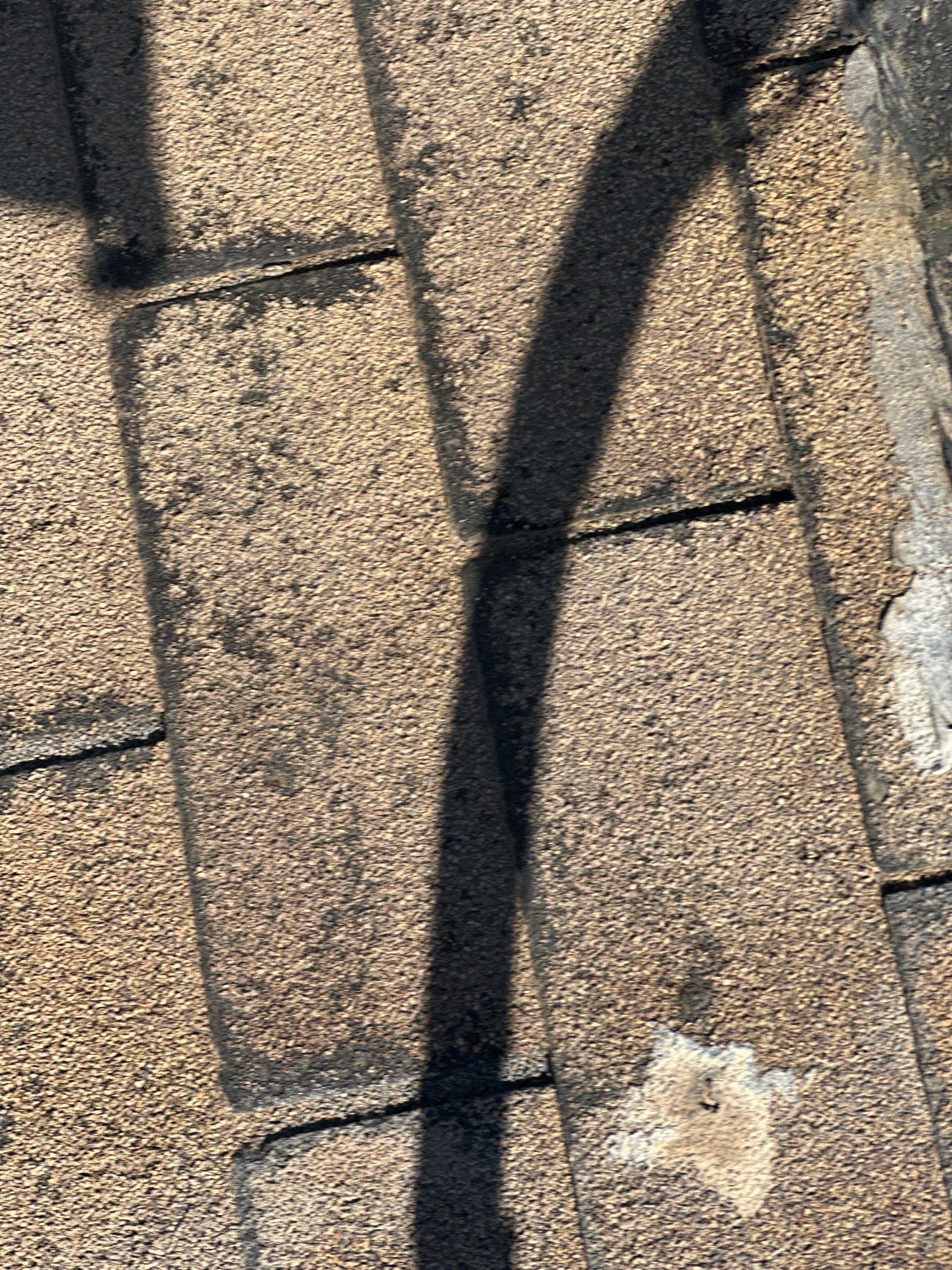 Granite Gray Shingles by Reimagine Roofing