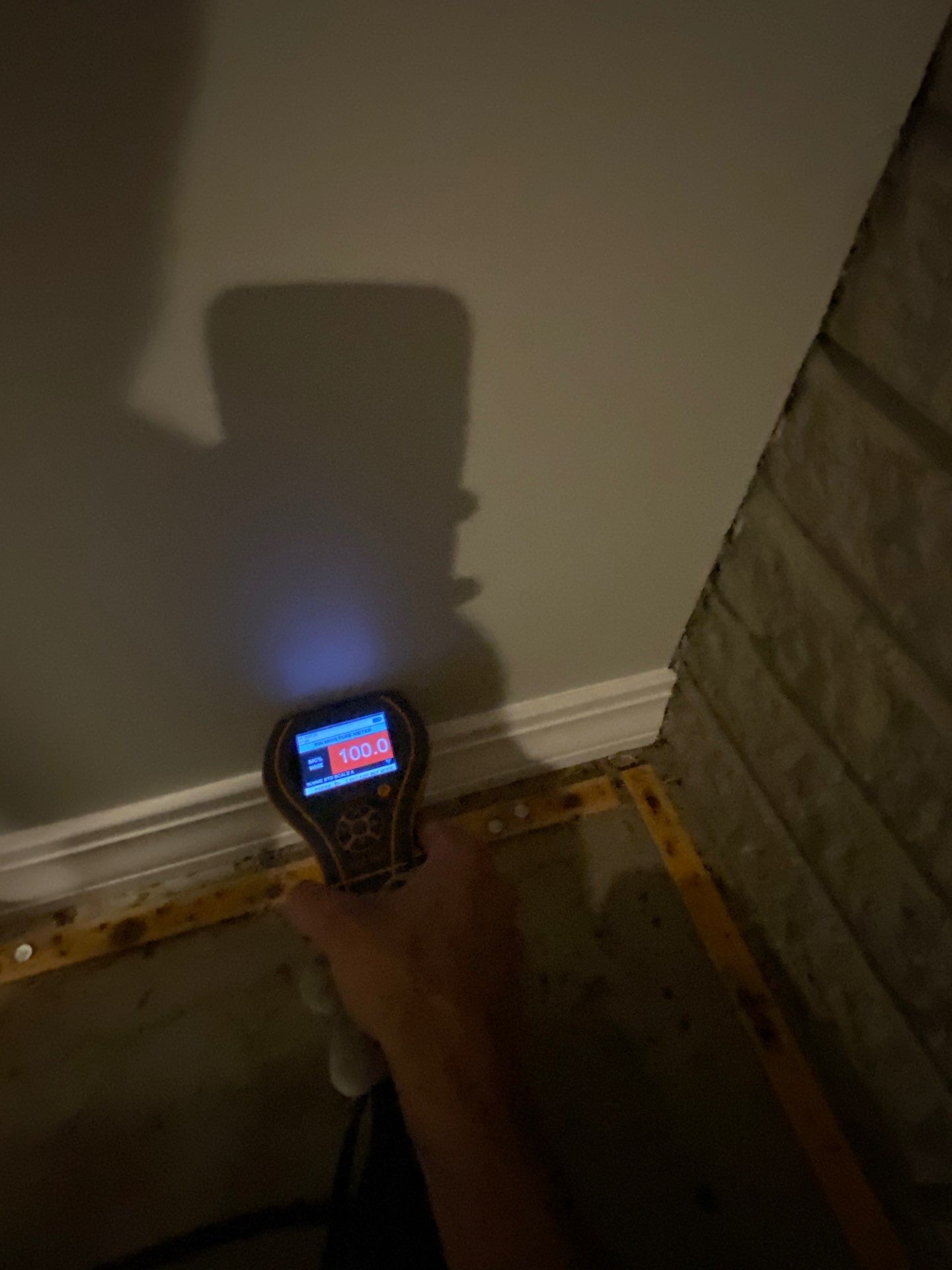 Project in West Bloomfield by EzDry Water Mitigation & Property Restoration