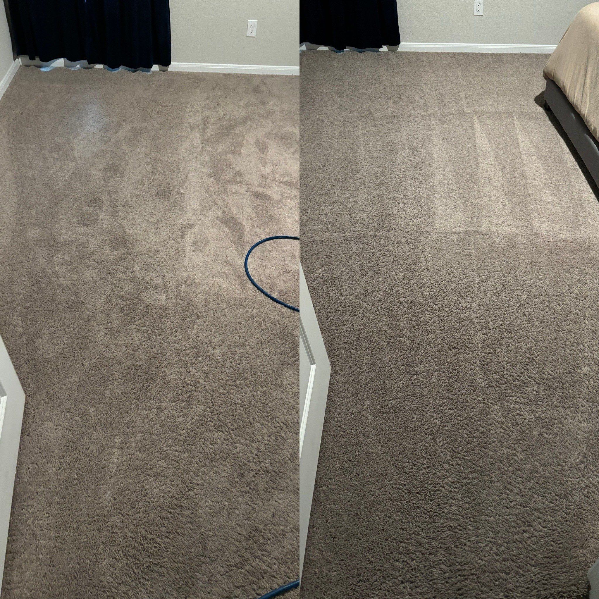 the service being done is carpet cleaning with visible difference in cleanliness and texture in the carpet fibers