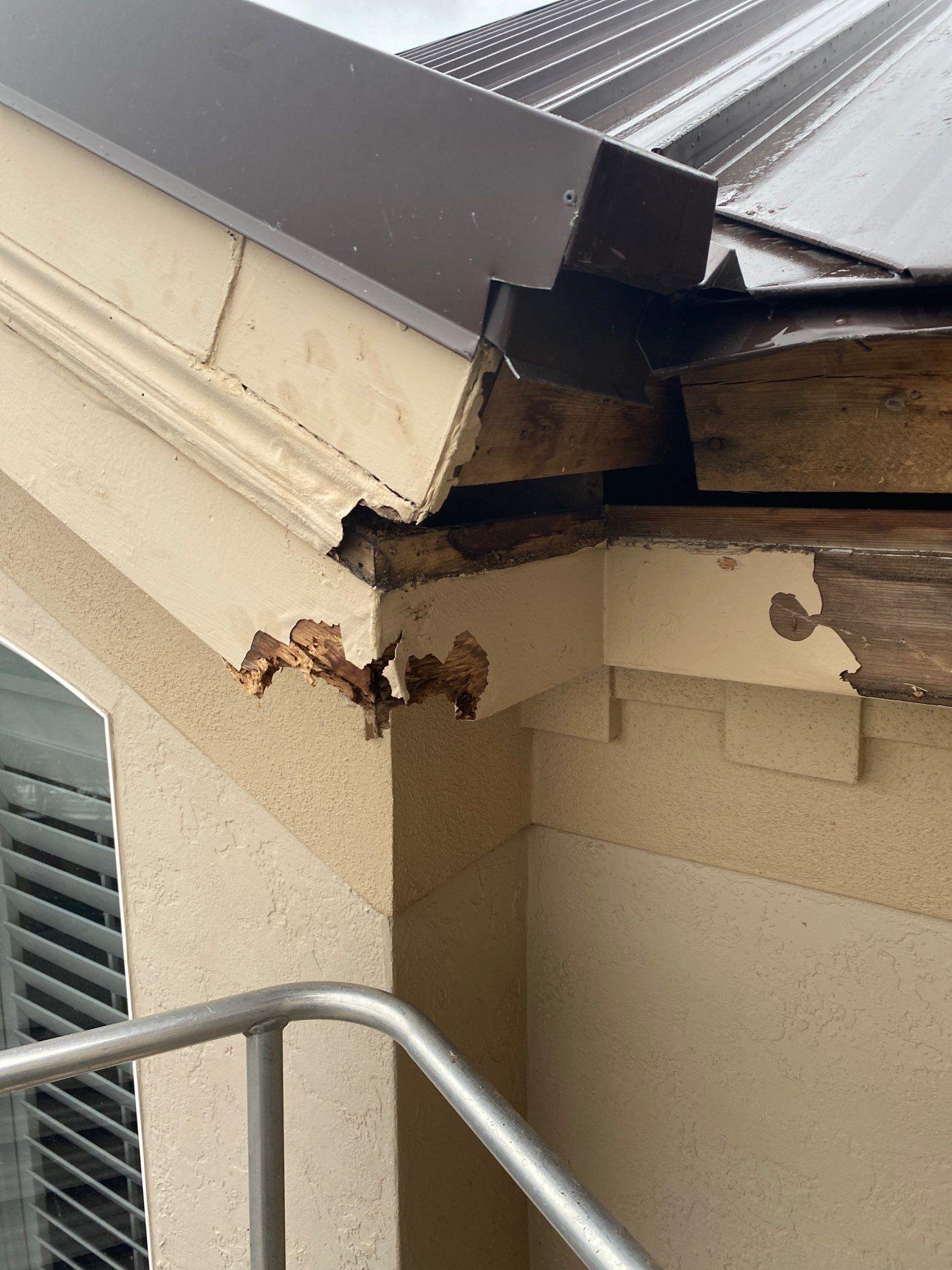 Seamless Gutters in Sarasota FL by Gutter Professors